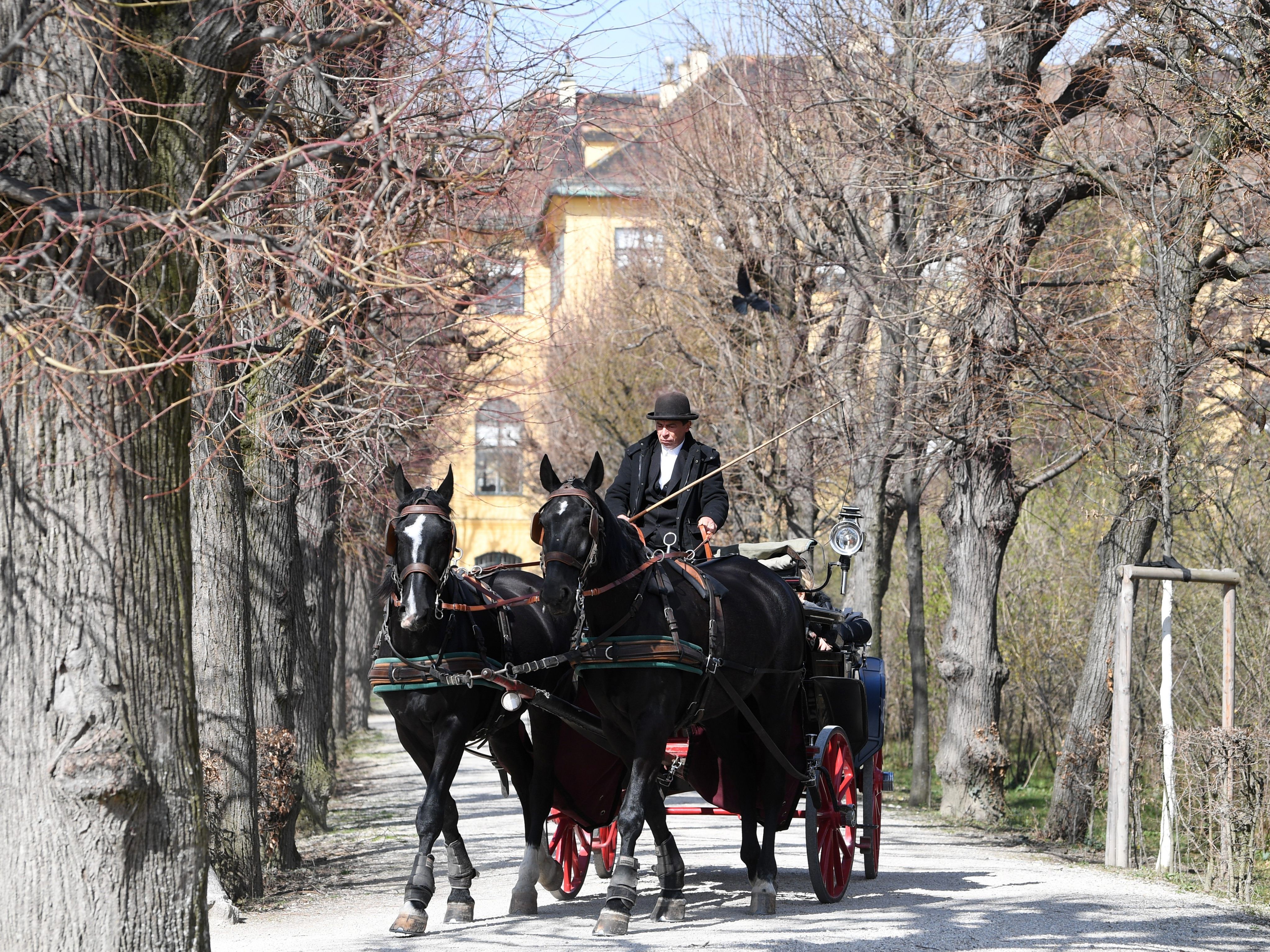 Der Frühling kommt für ein paar Tage nach Wien.