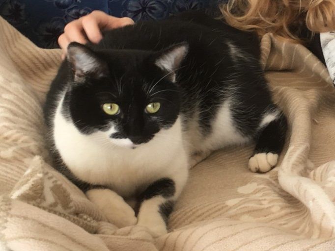 Coco