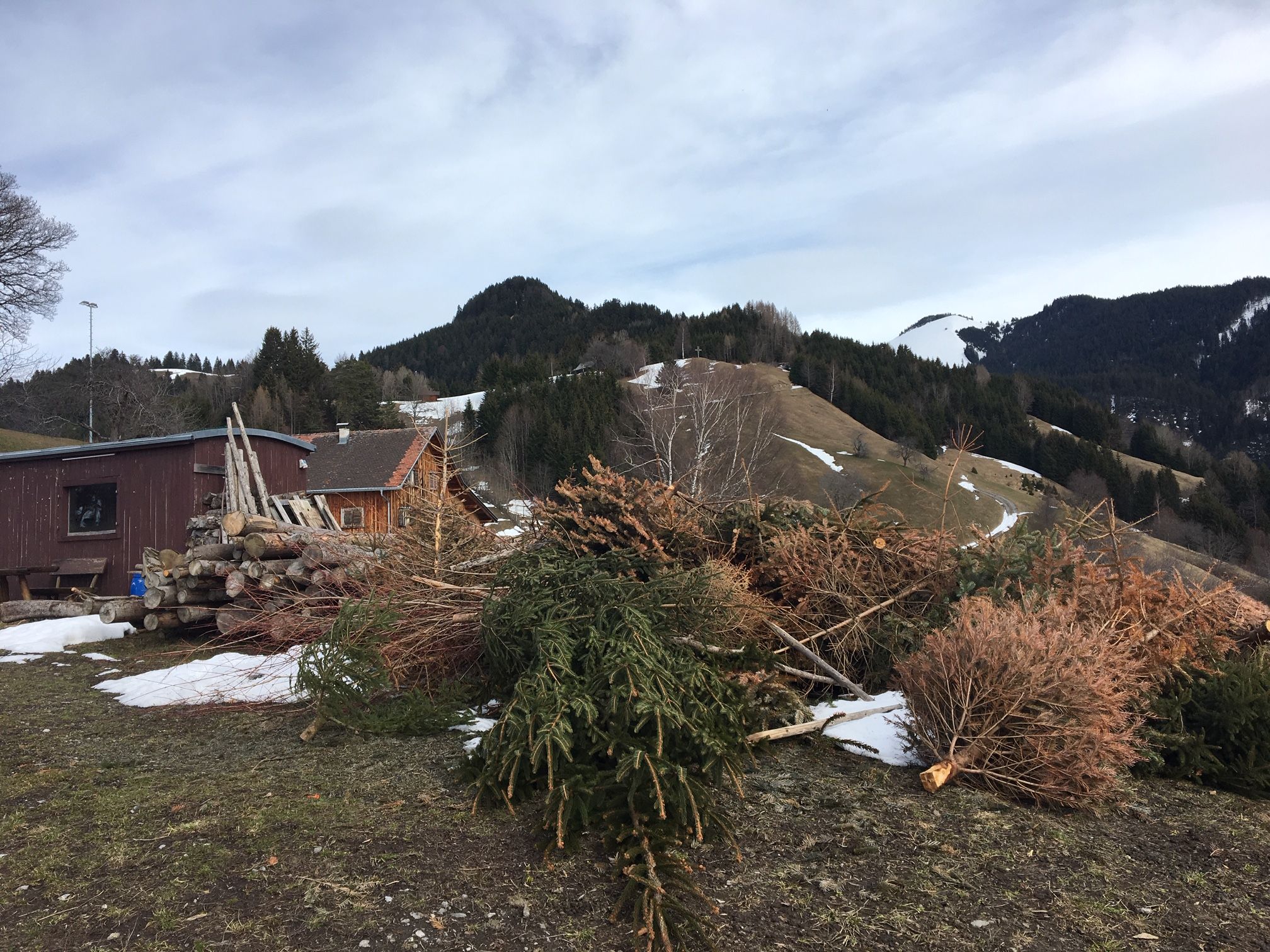 Christbäume und Holz warten auf ihre Verwendung für den Funken. Christbäume und Holz warten auf ihre Verwendung für den Funken.
