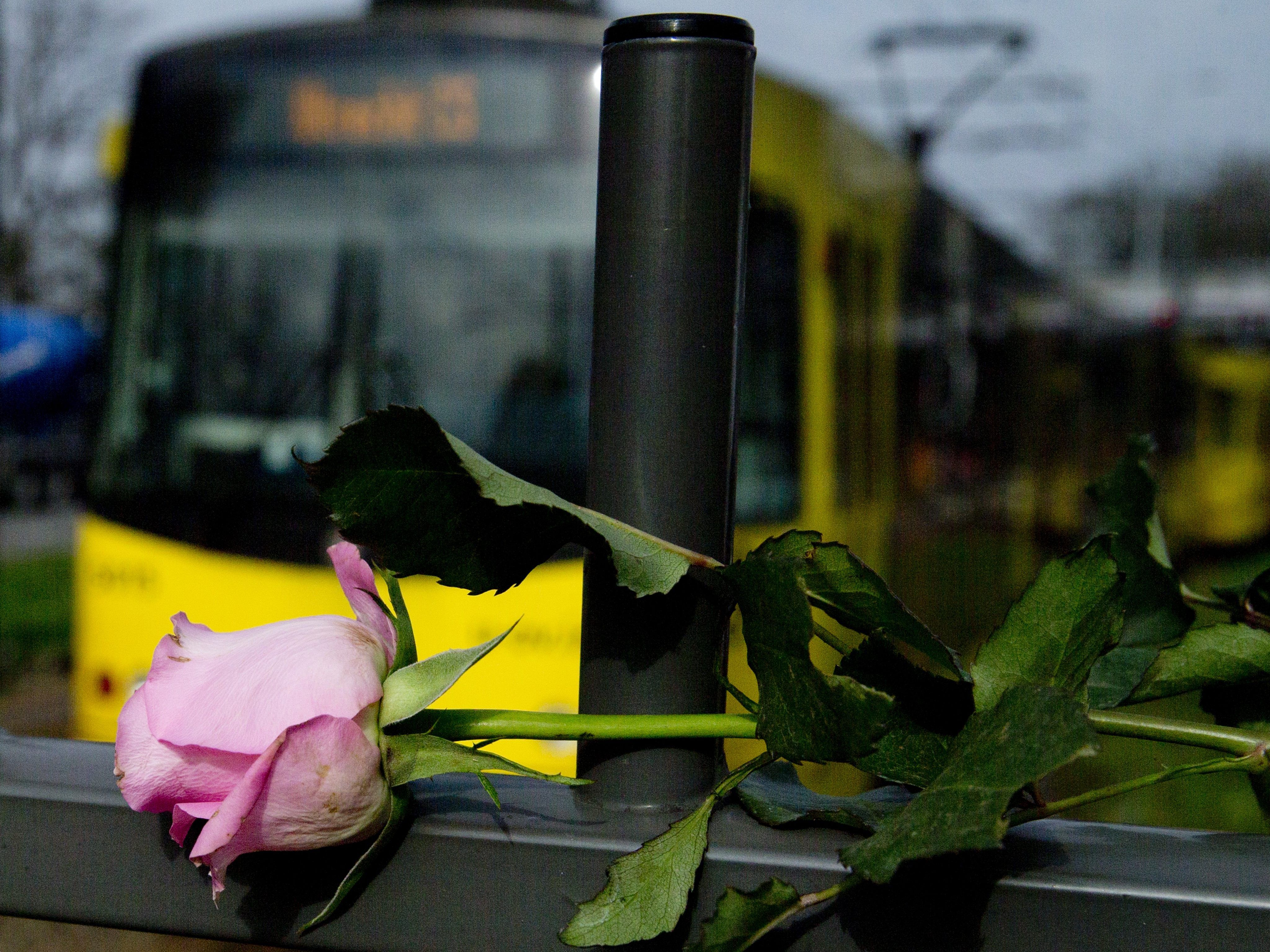 Zahlreiche Trauernde legten nach der Schießerei in Utrecht Blumen nieder. Zahlreiche Trauernde legten nach der Schießerei in Utrecht Blumen nieder.