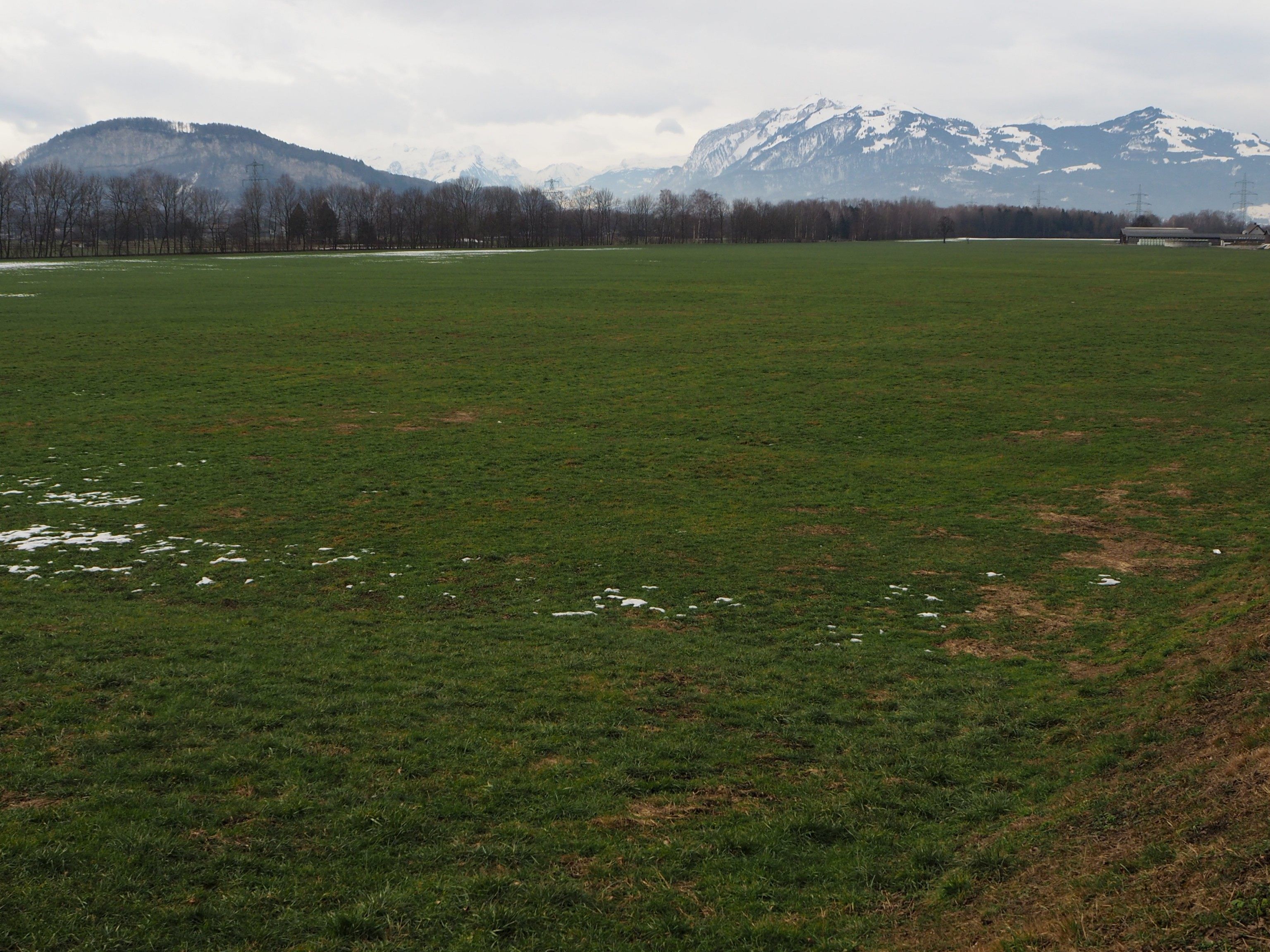 Zwischen dem Sauwinkel und dem Götzner Hof sollen innerhalb von 25 Jahren knapp drei Millionen Tonnen Kies abgebaut werden. Zwischen dem Sauwinkel und dem Götzner Hof sollen innerhalb von 25 Jahren knapp drei Millionen Tonnen Kies abgebaut werden.