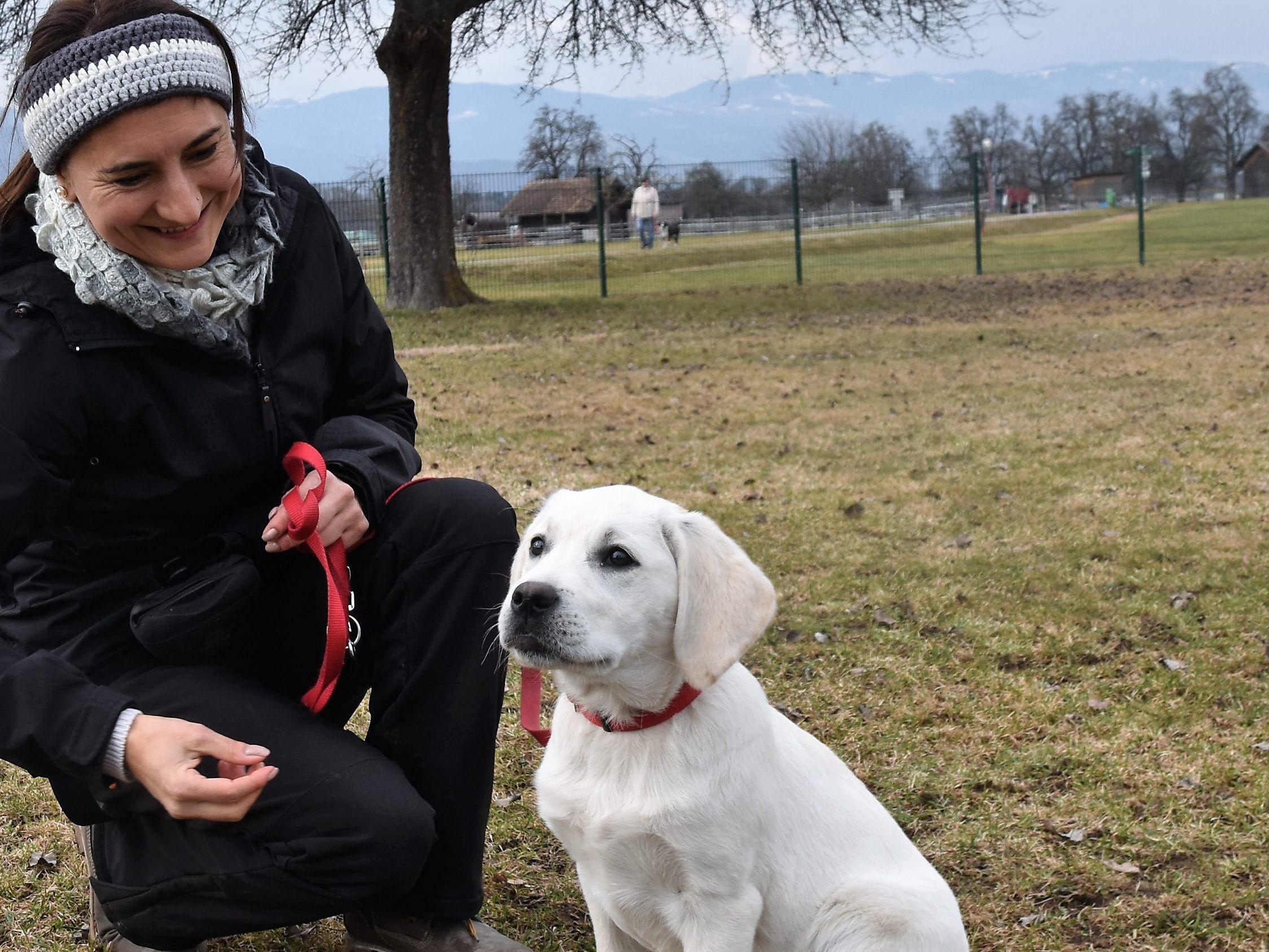 Labradorwelpe Kira ist 15 Wochen jung Labradorwelpe Kira ist 15 Wochen jung