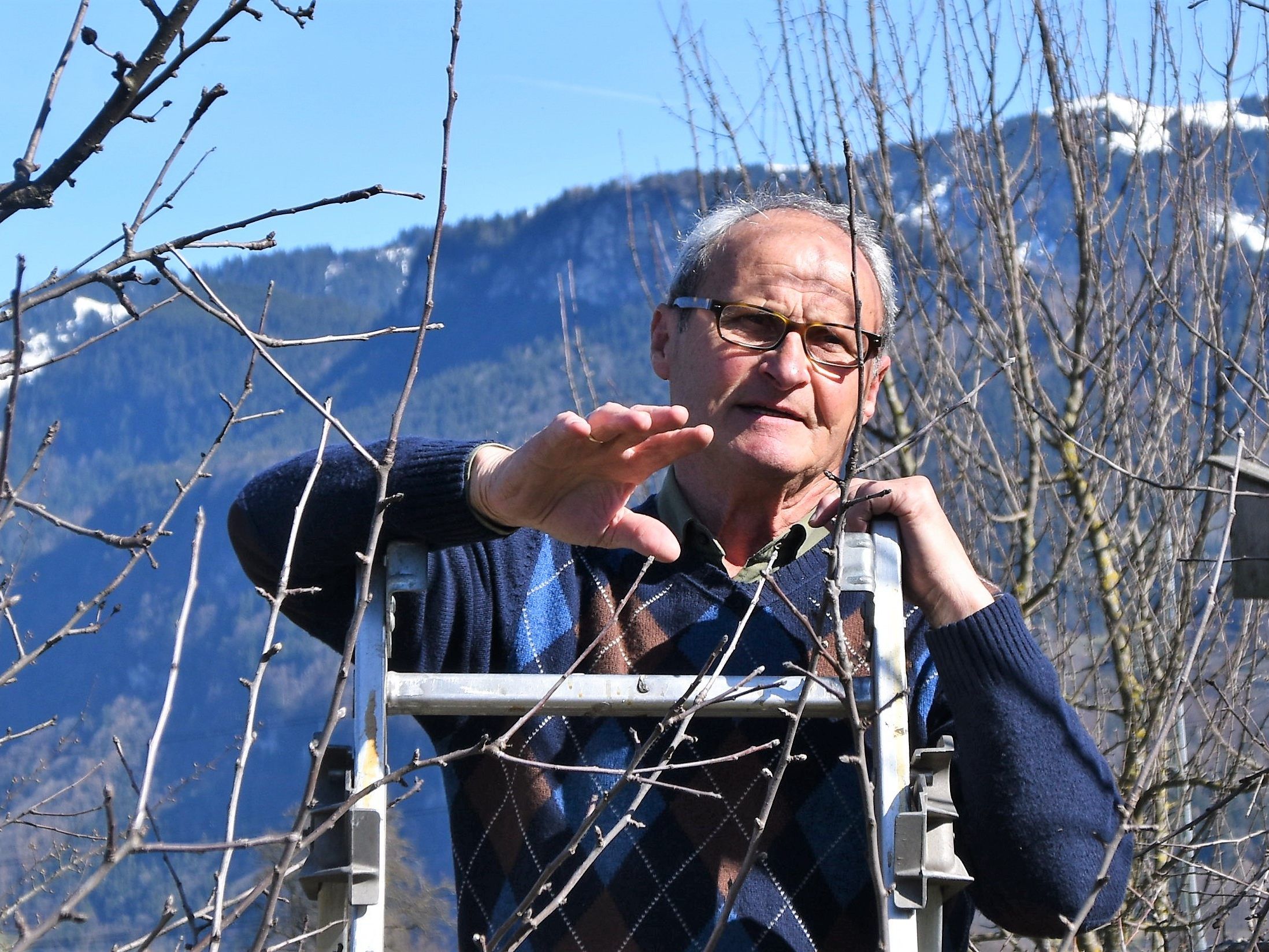 Baumwart Arthur Bertel zeigt wie`s geht