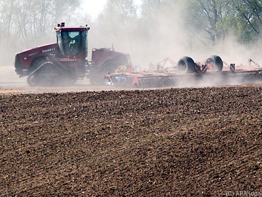 Trockenheit führte im Jahr 2018 zu Ernteausfällen
