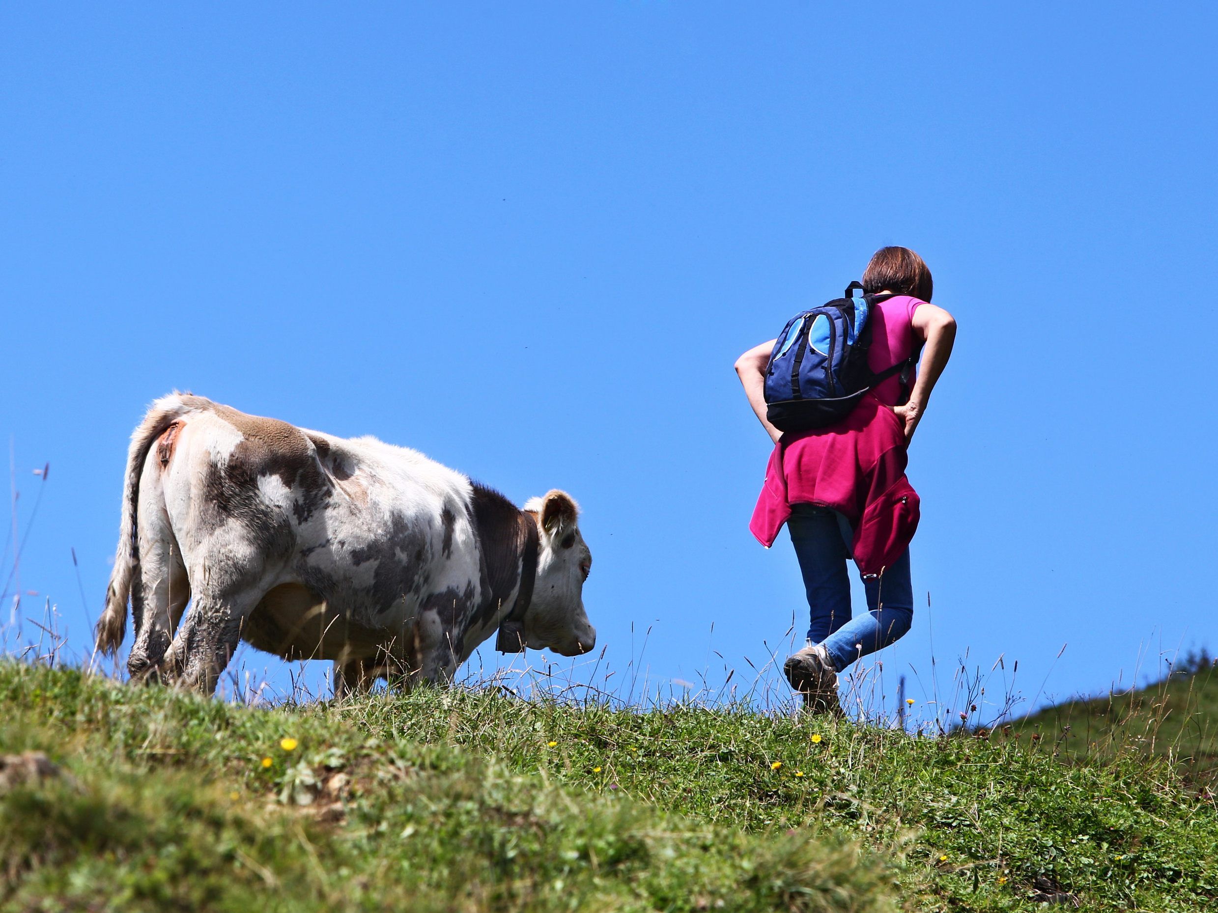 Verhaltenskodex für Wanderer