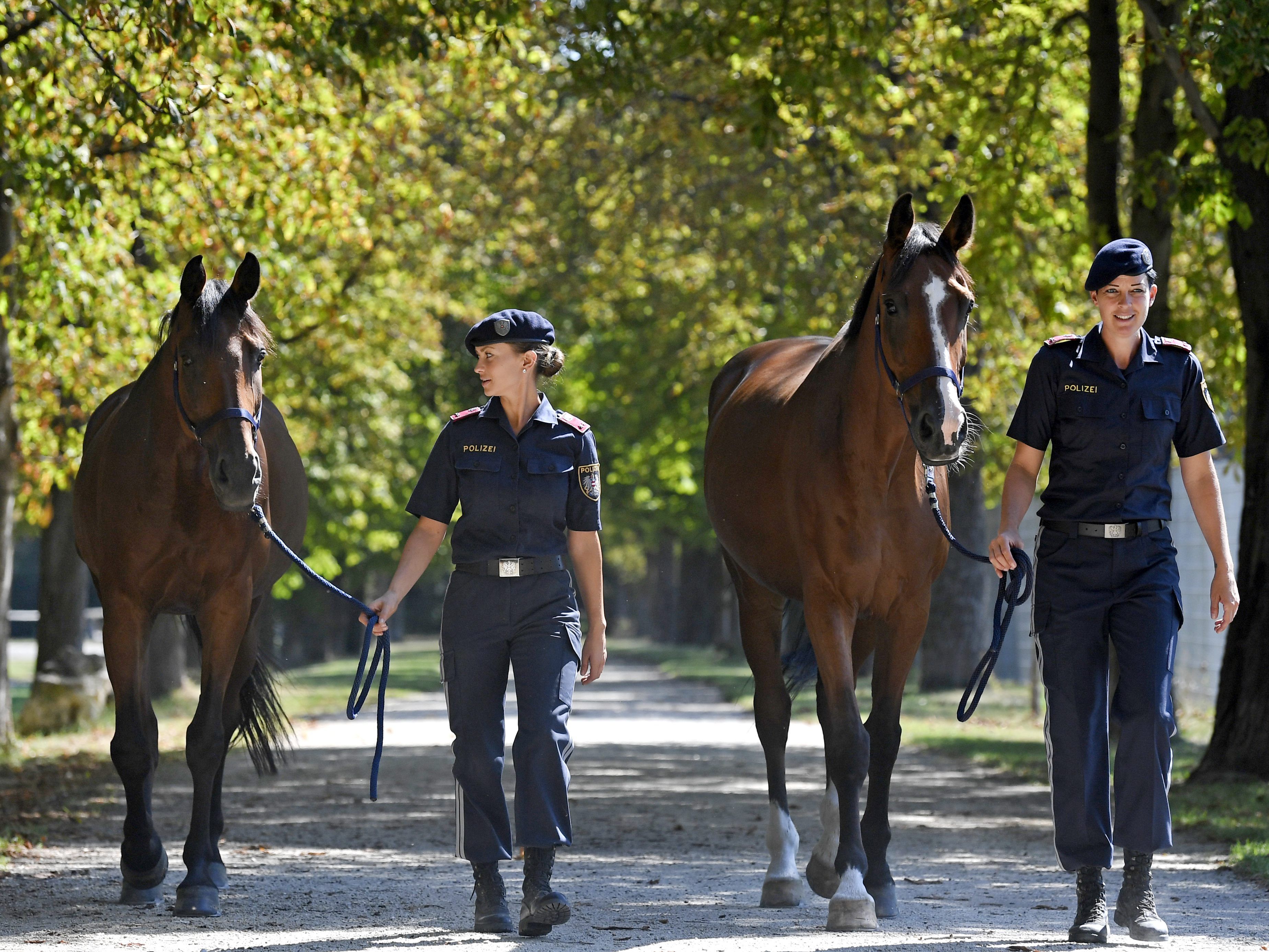 Die berittene Polizei war erstmals im Stadtgebiet unterwegs. Die berittene Polizei war erstmals im Stadtgebiet unterwegs.