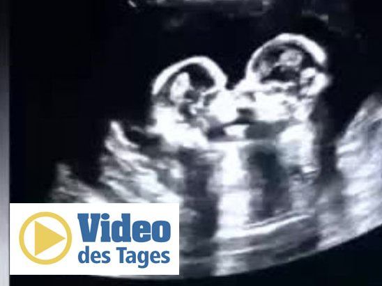 Was aus den beiden Babys wohl werden wird?