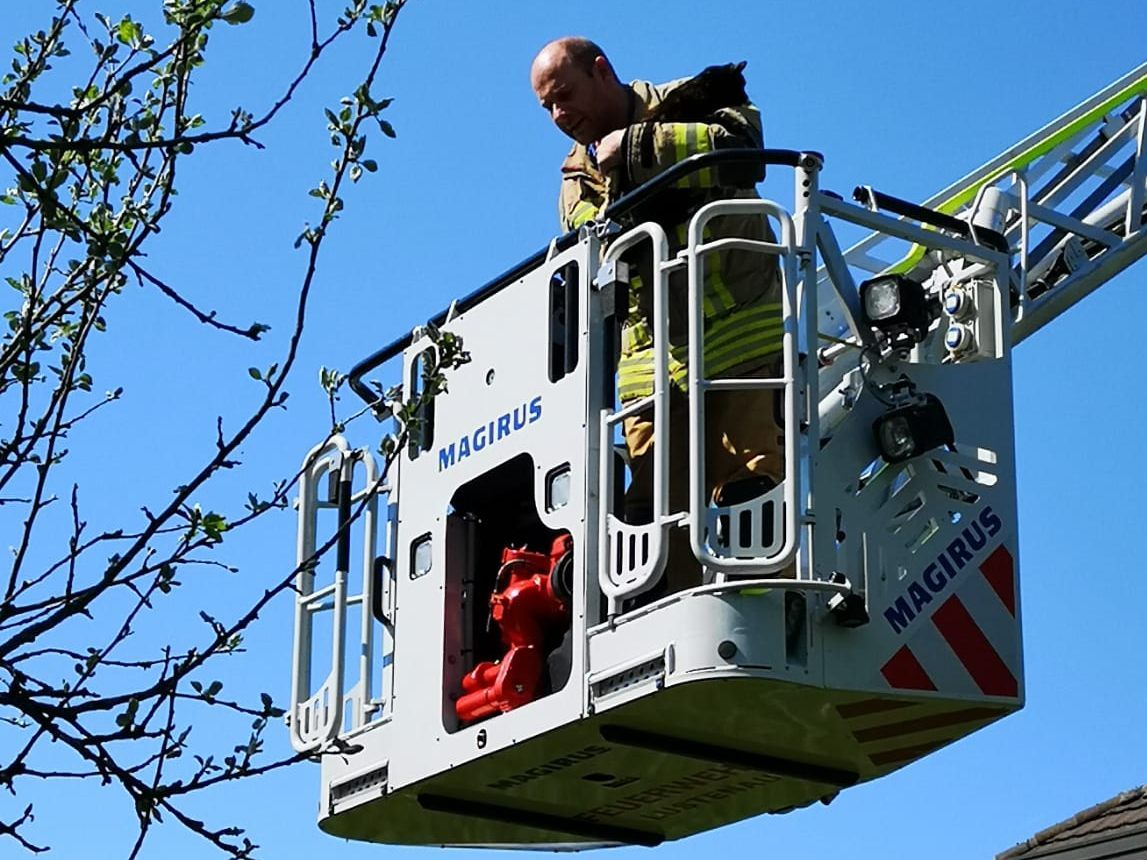 Die Feuerwehr Lustenau konnte das Kätzchen unverletzt retten.