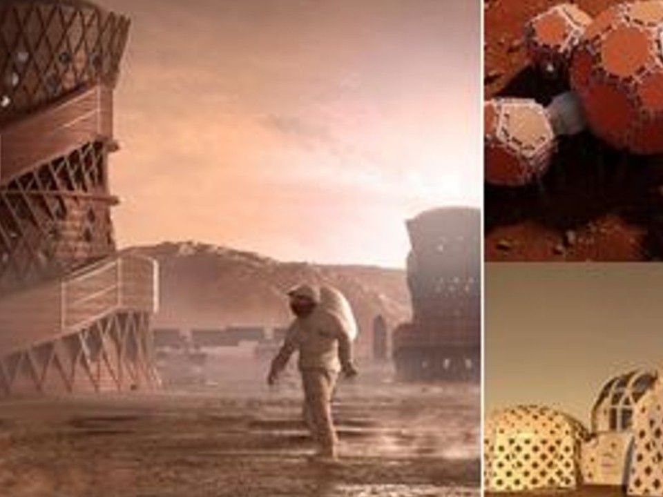 Werden wir bald zu "Marsmenschen"?