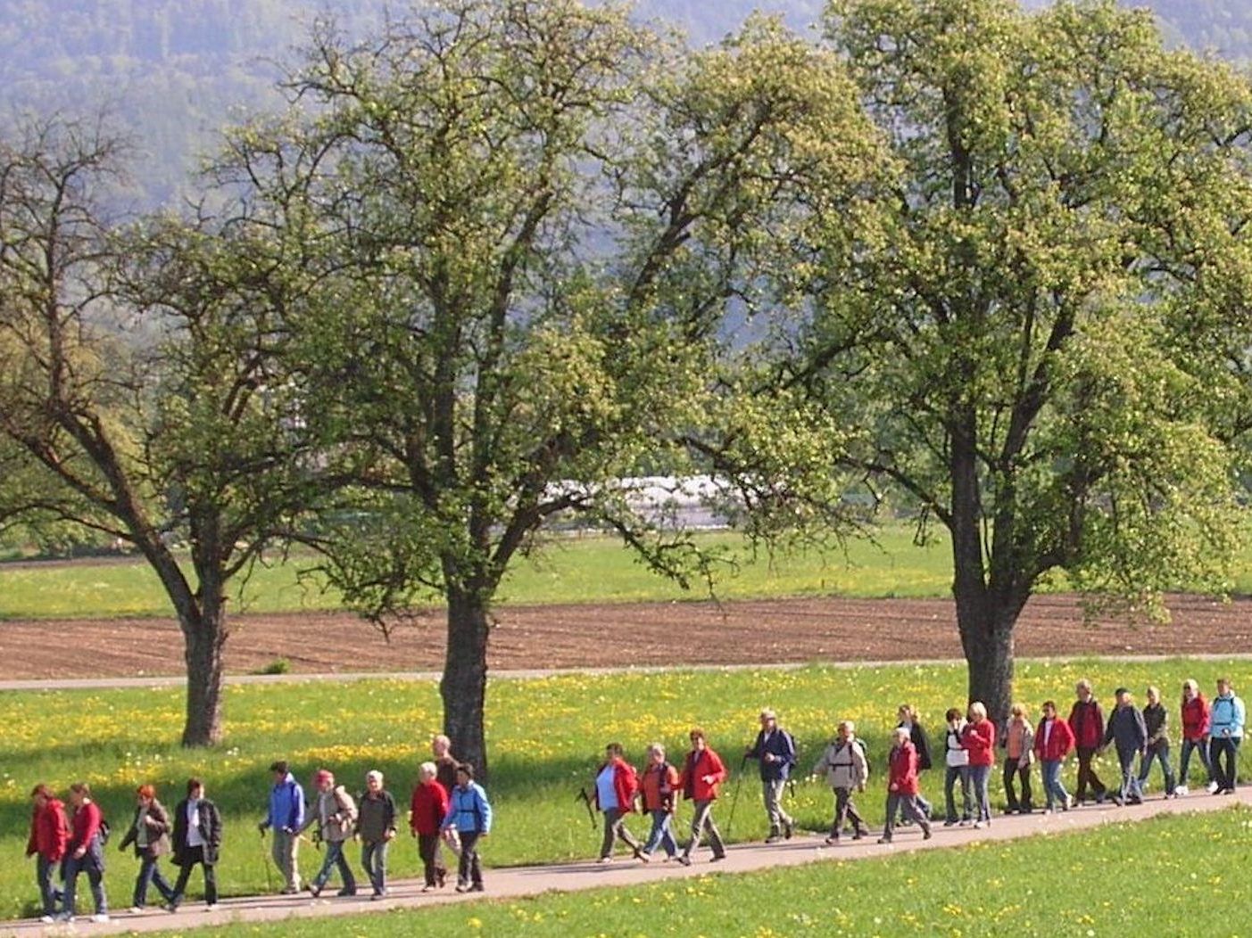 Am 1. Mai wird wieder zur Basilika nach Rankweil gepilgert.