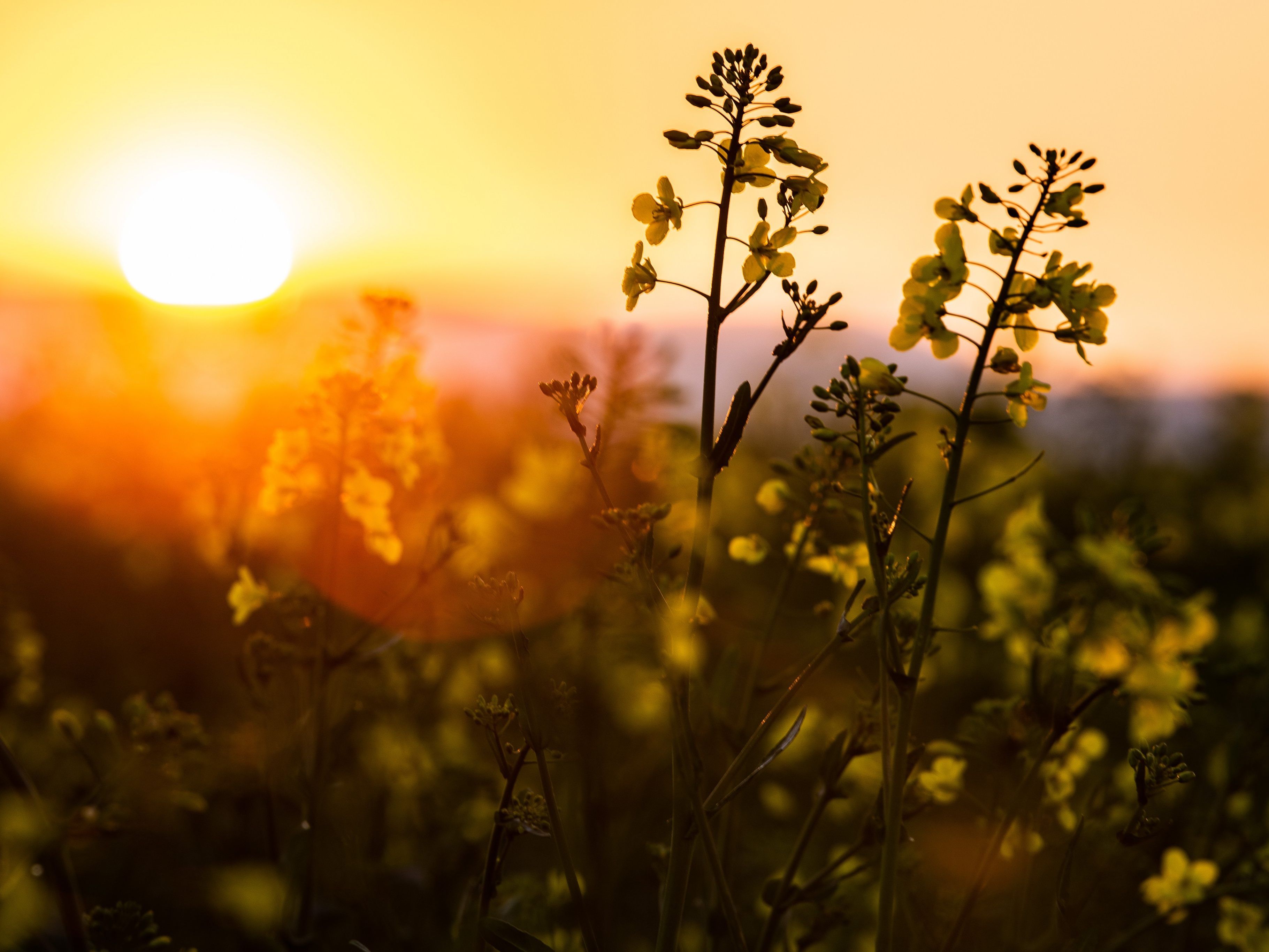 Mit 28,5 Grad liegt der wärmste Tag des heurigen Jahres bisher hinter uns.