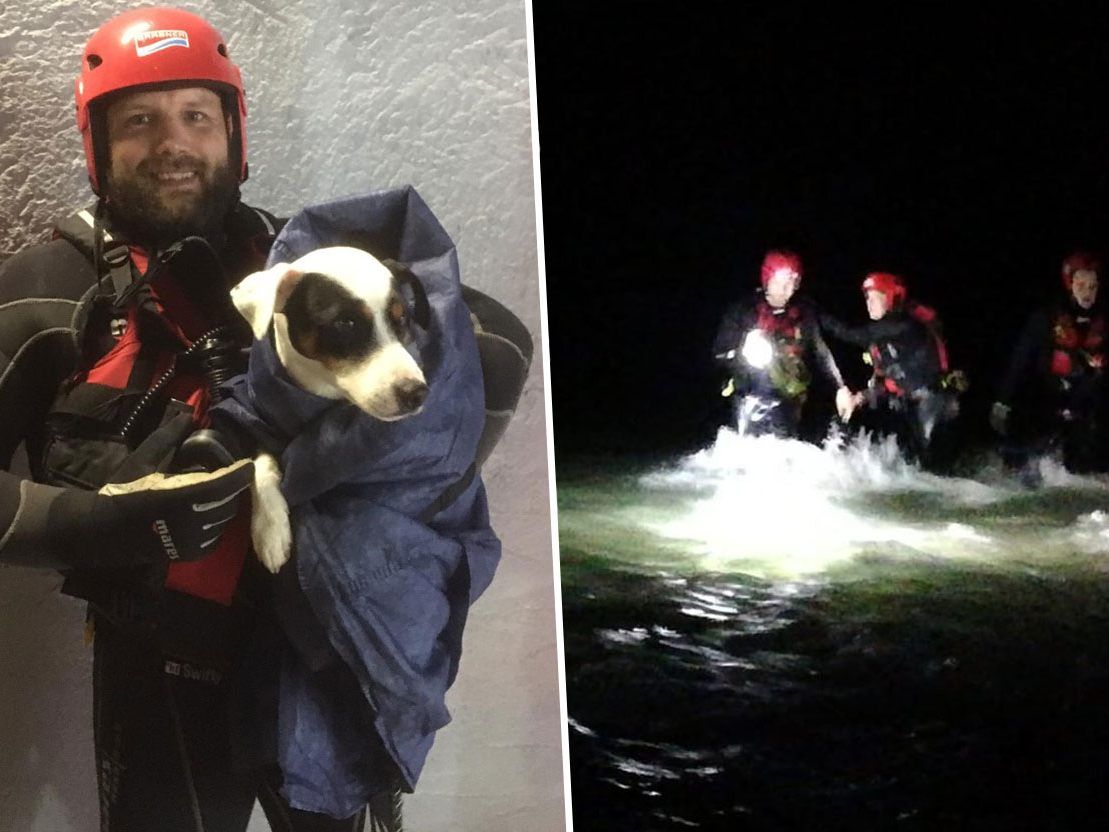 Hund und Camper konnten nach aufwendiger Rettungsaktion geborgen werden. Hund und Camper konnten nach aufwendiger Rettungsaktion geborgen werden.