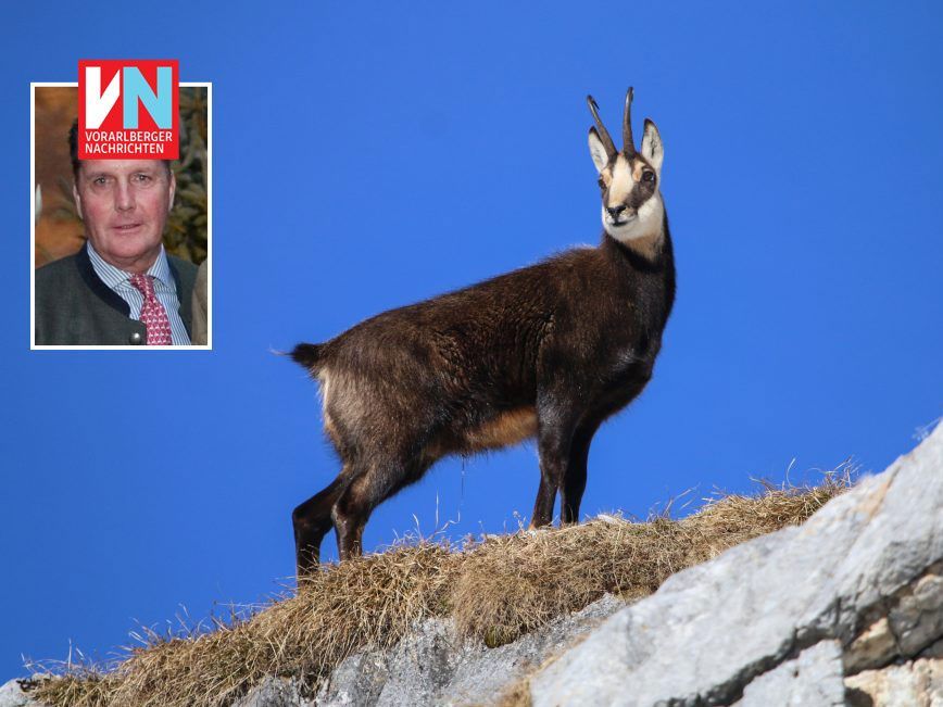 Gams und Co. sollen durch die Stiftung des Freiherrn im Land genauso geschützt werden wie ihr Lebensraum.