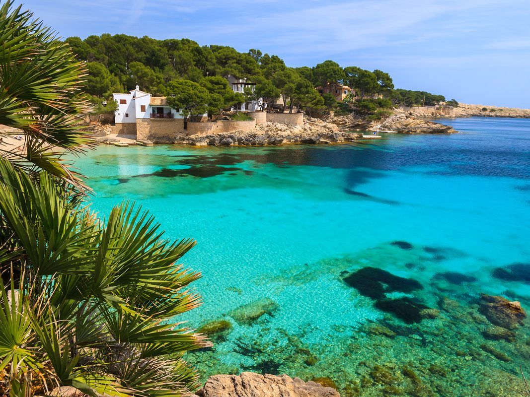 Die Preise für die Flüge nach Mallorca sind heute um 33 Prozent günstiger als im Vorjahr.