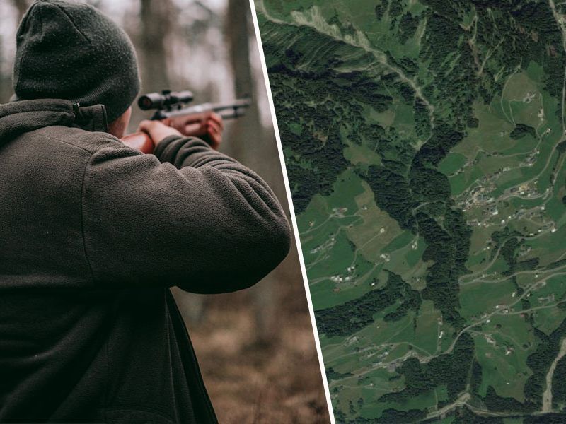 Jägerschaft verurteilt Treibjagden Jägerschaft verurteilt Treibjagden