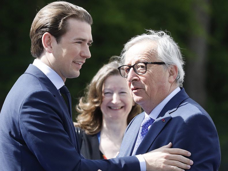 Kurz für Abschaffung von 1.000 Gesetzen