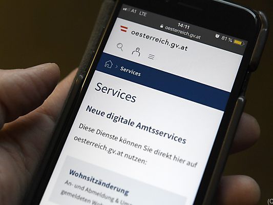 Die Amts-App "verschluckte" über 600 Anträge
