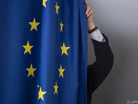 Auswirkungen auf Europawahl wohl nur in Österreich Auswirkungen auf Europawahl wohl nur in Österreich