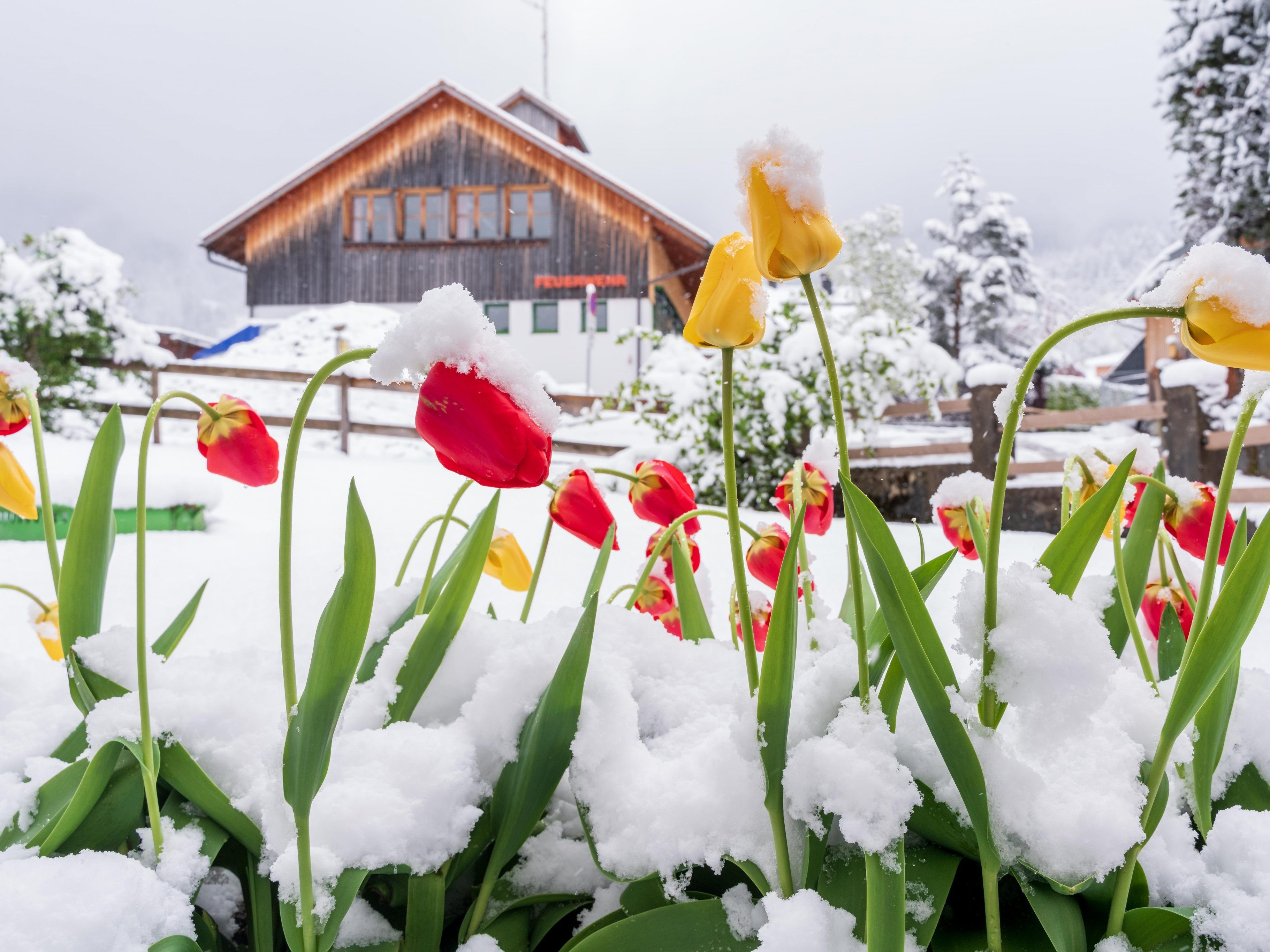 In Teilen Österreichs kam es in der Nacht auf Sonntag zu Schneefall.