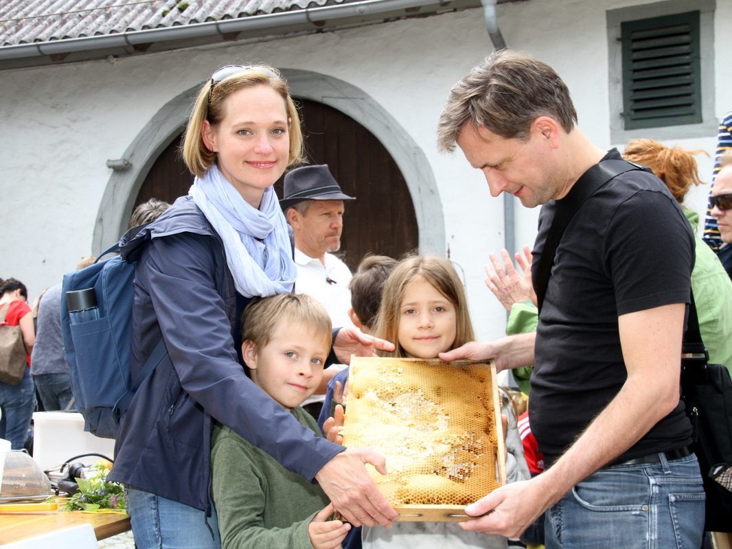 Tag des offenen Bienenstockes