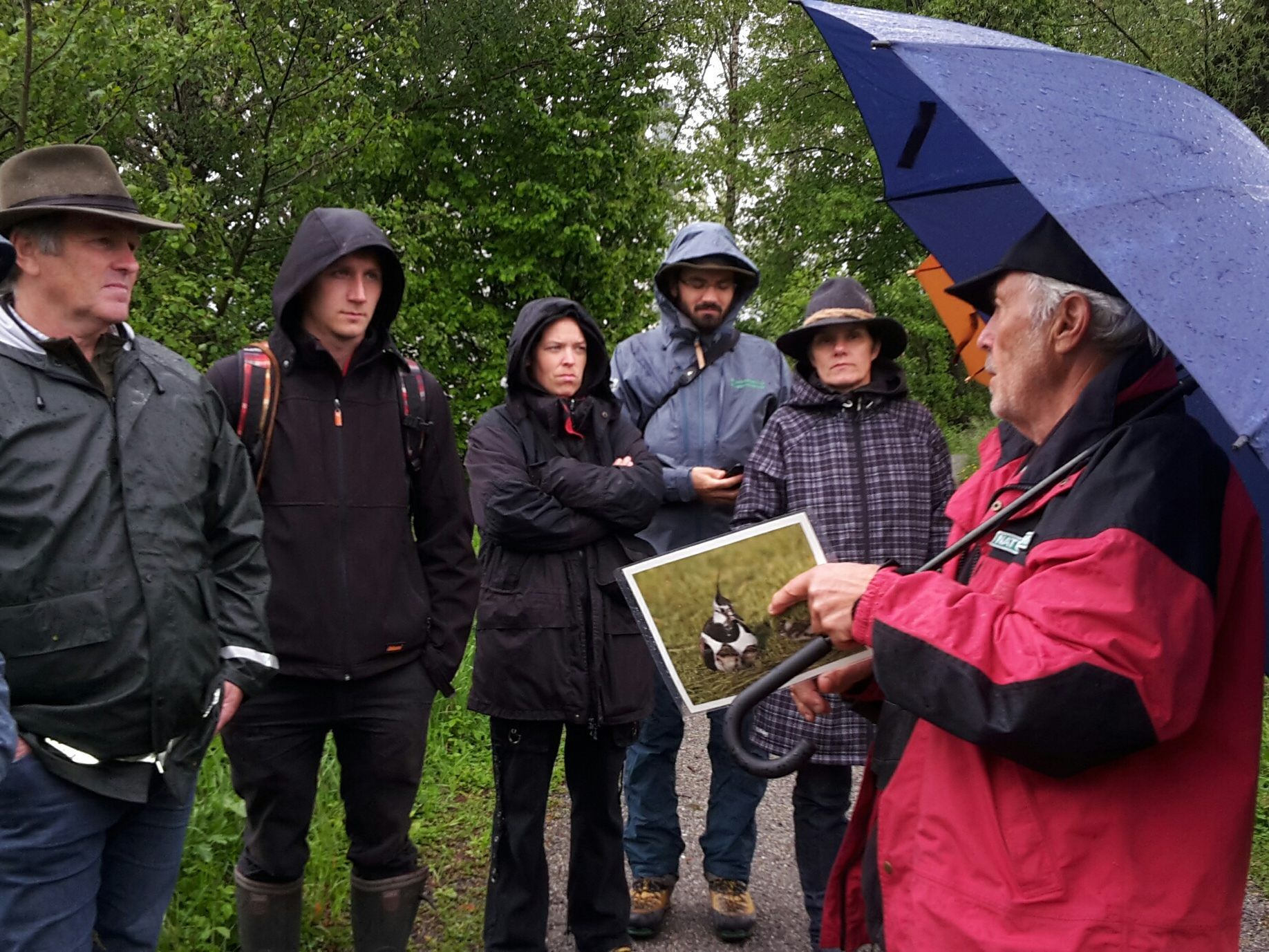Echte Gebietsbetreuer lassen sich auch von ein bisschen Regenwetter nicht vom Rundgang ins Natura 2000-Gebiet Gsieg – Obere Mähder abhalten. Echte Gebietsbetreuer lassen sich auch von ein bisschen Regenwetter nicht vom Rundgang ins Natura 2000-Gebiet Gsieg – Obere Mähder abhalten.