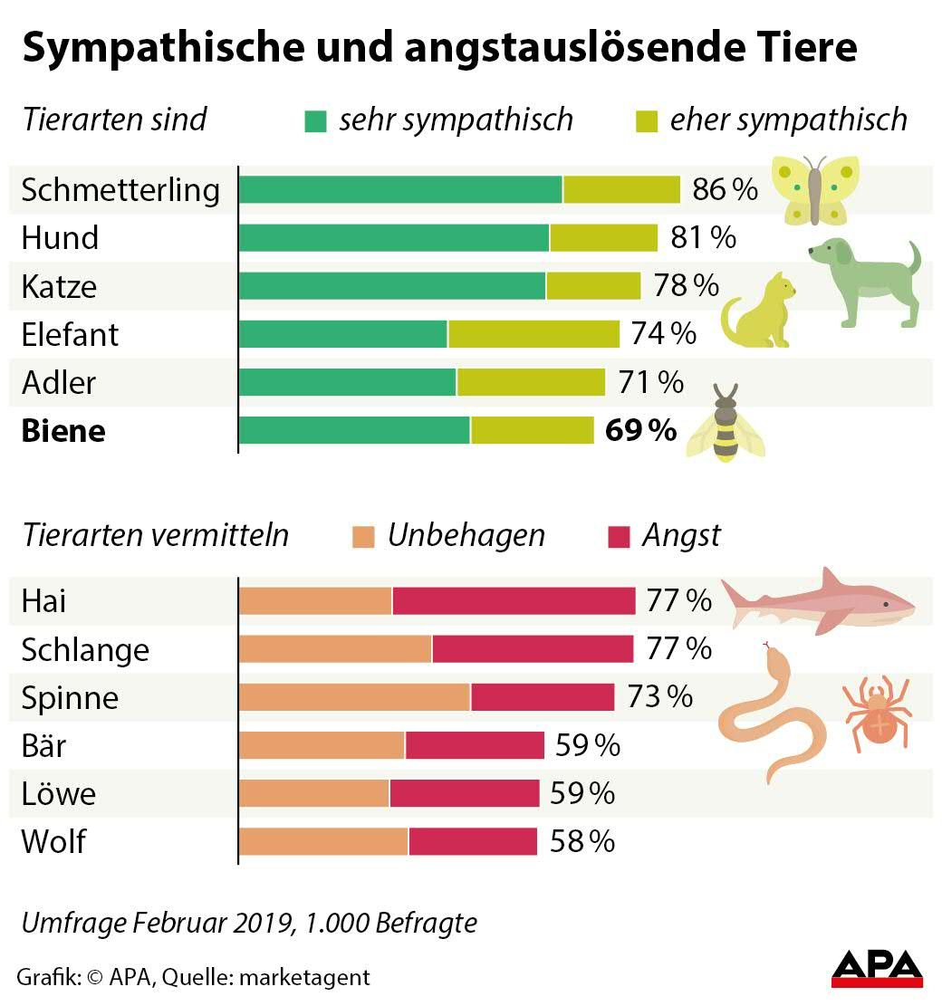 Umfrage Bienen