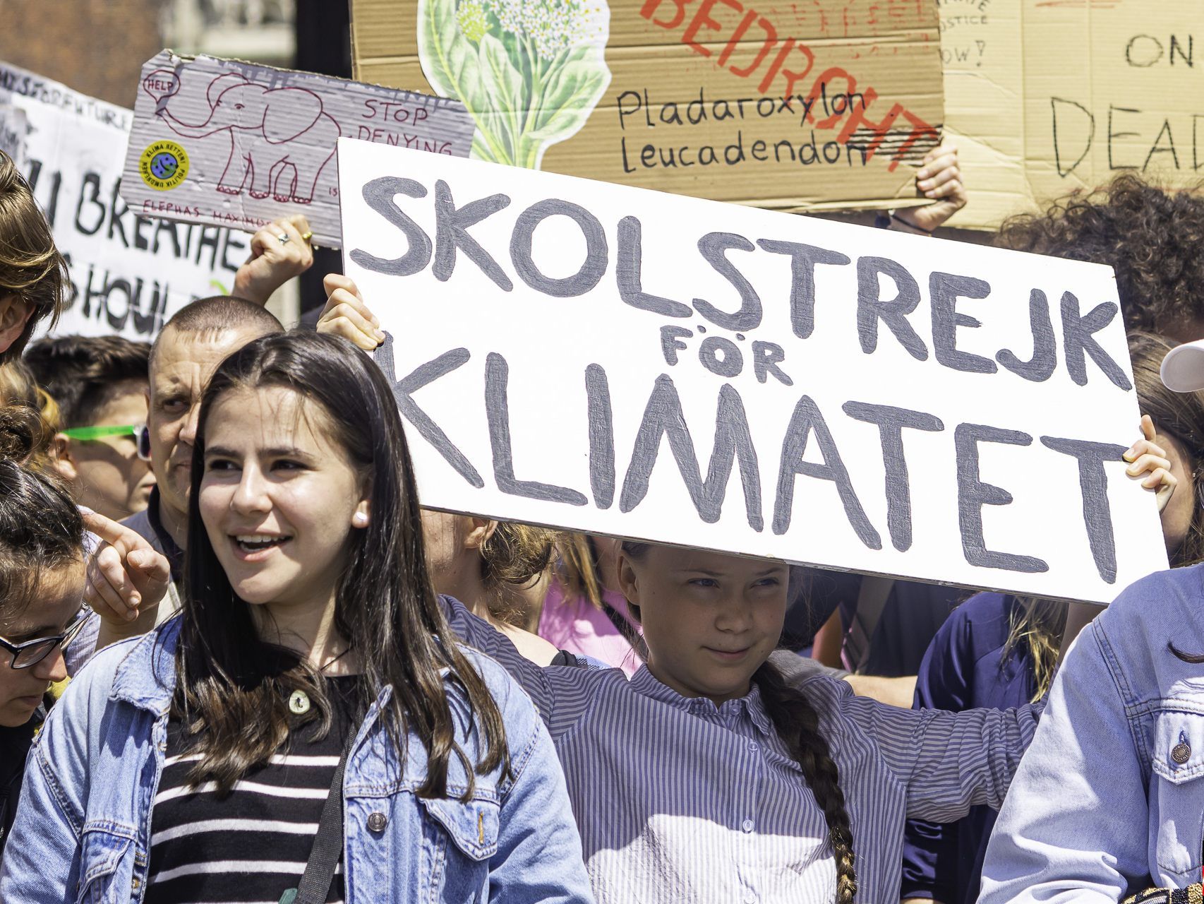 Greta Thumberg in Wien - Demo und Schwarzenbergplatz - 31.05.2019
