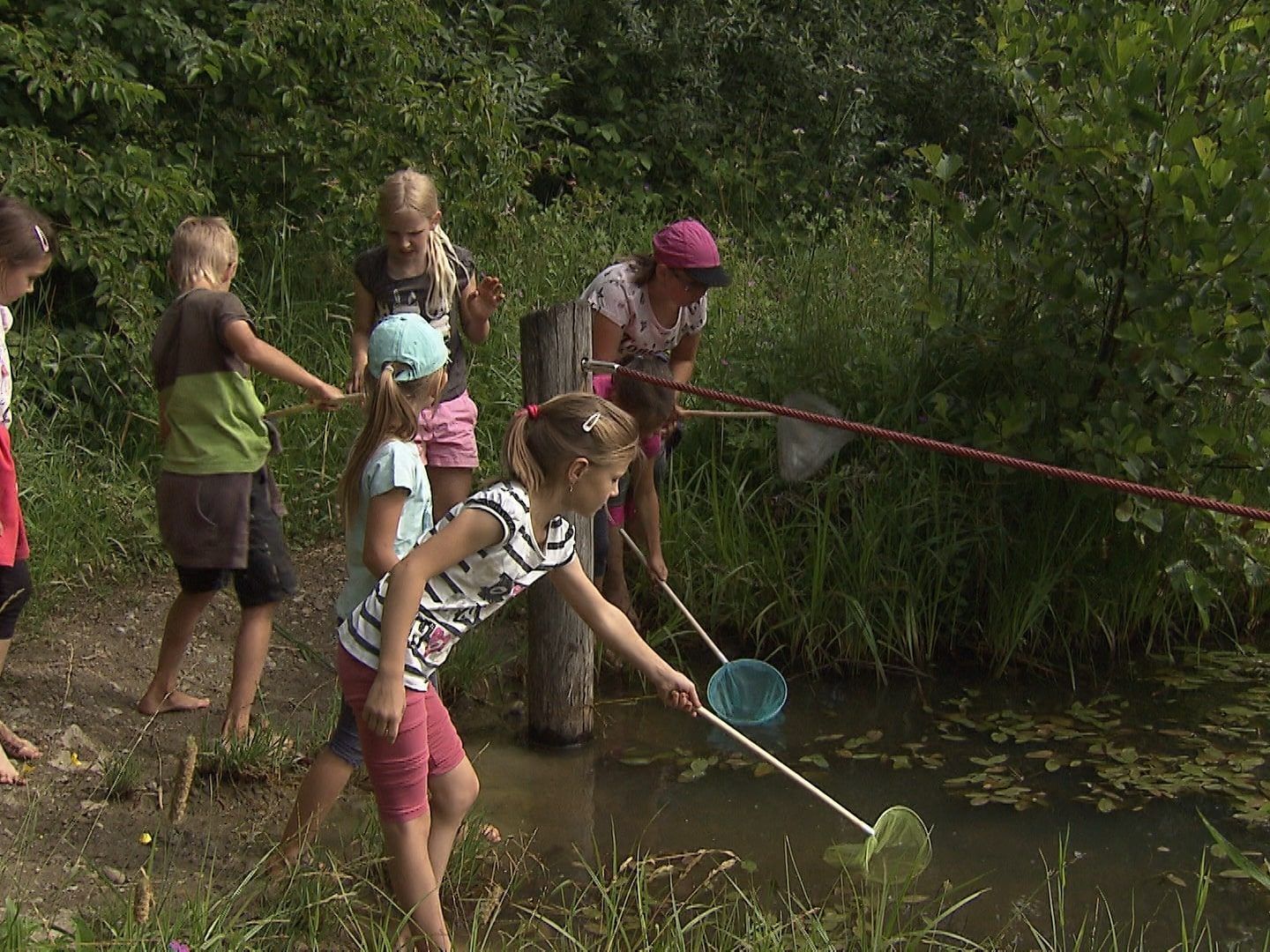 Kinder bei Untersuchungen im Lebensraum Wasser. Kinder bei Untersuchungen im Lebensraum Wasser.