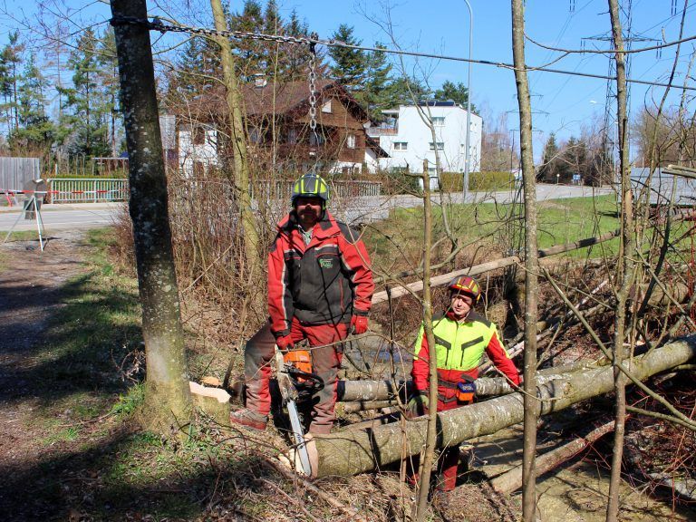 Für die Sicherheit der Bevölkerung: Manfred Lau (Baumfällungen Lau Bregenz) mit seinem Gehilfen bei Rodungsarbeiten am Hoferbach.