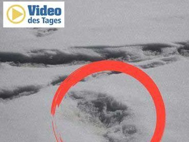 Fußspuren im Schnee - sind sie vom Yeti?