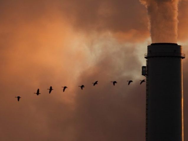 In einer Studie der European Climate Foundation heißt es, dass Österreichs Klimaschutzpläne ambitionierter sein könnten.