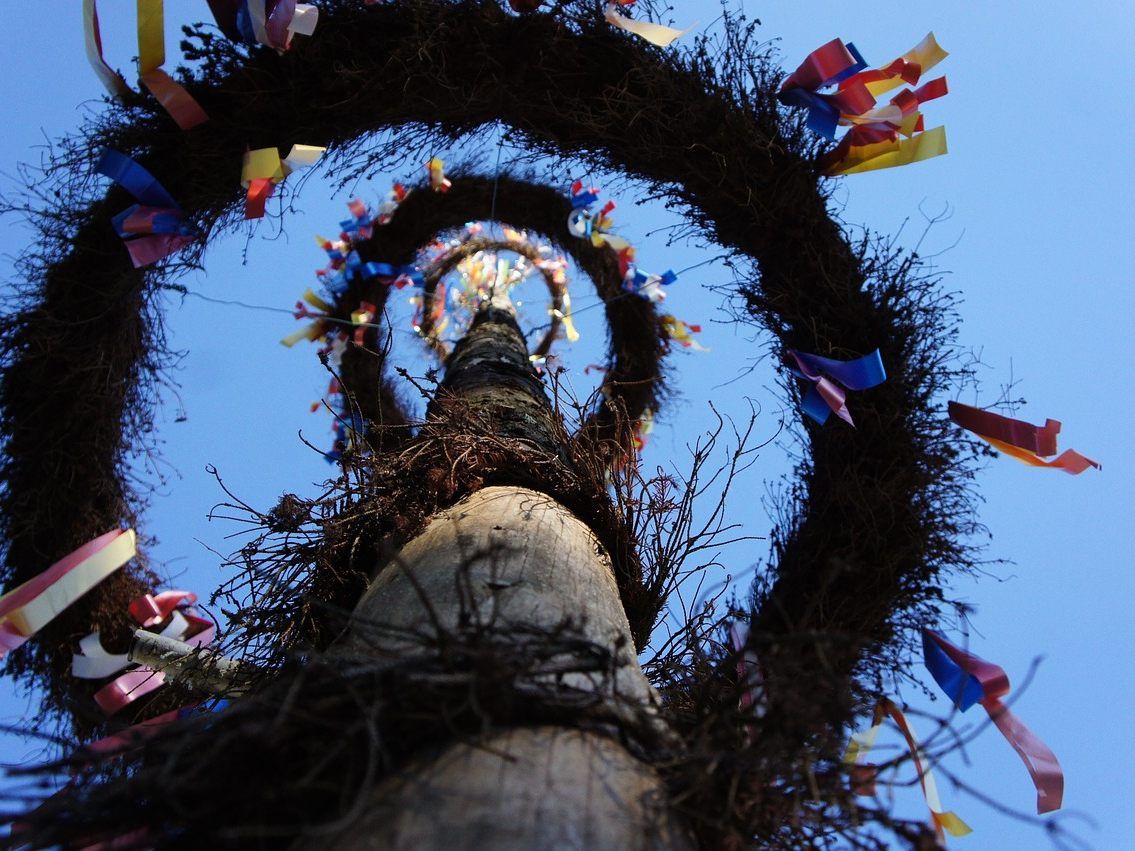 Der Maibaum stürzte im Bezirk Zwettl auf die L55. Der Maibaum stürzte im Bezirk Zwettl auf die L55.