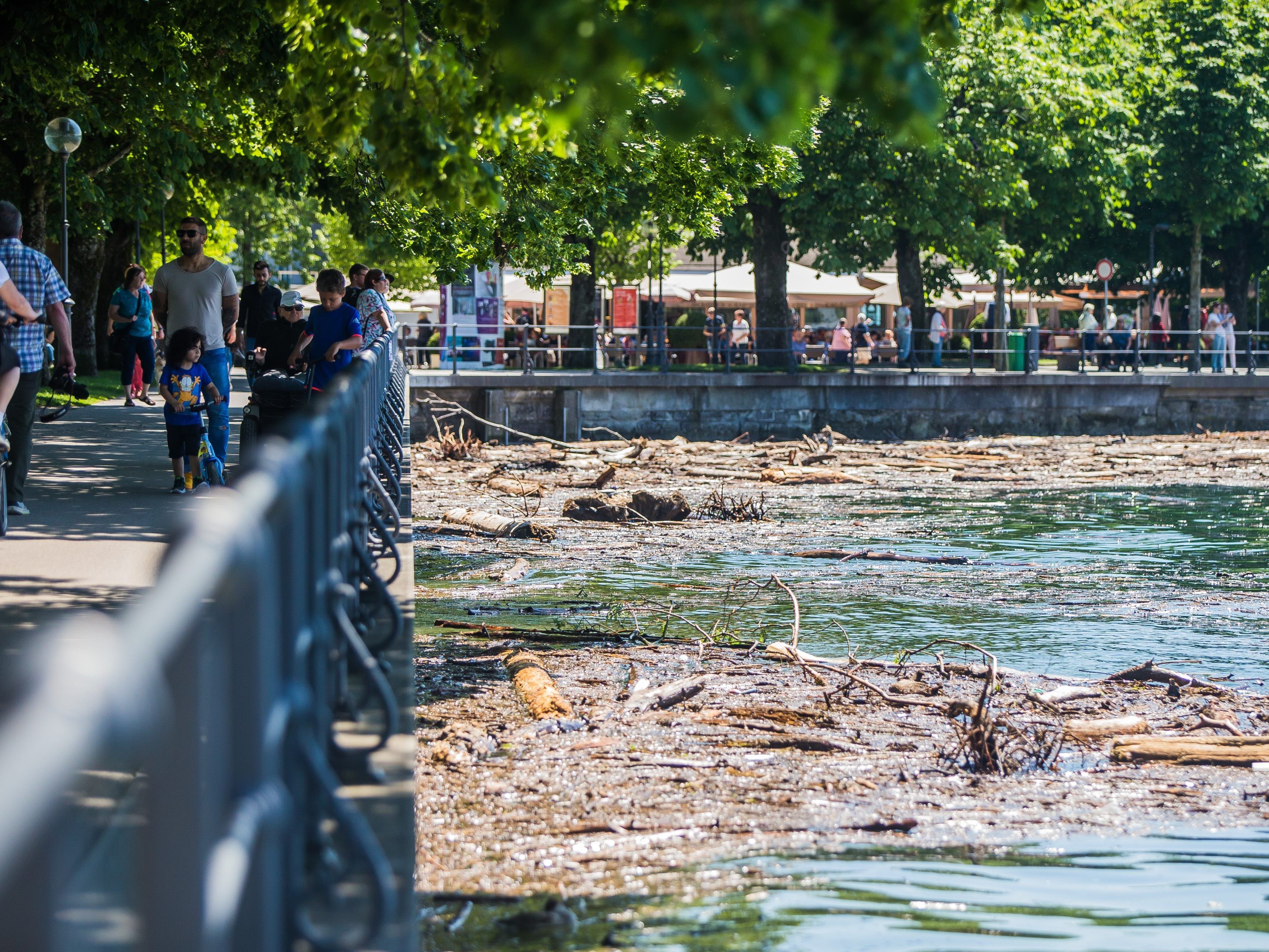 Die Hochwassersituation in Bregenz am Donnerstag Nachmittag.