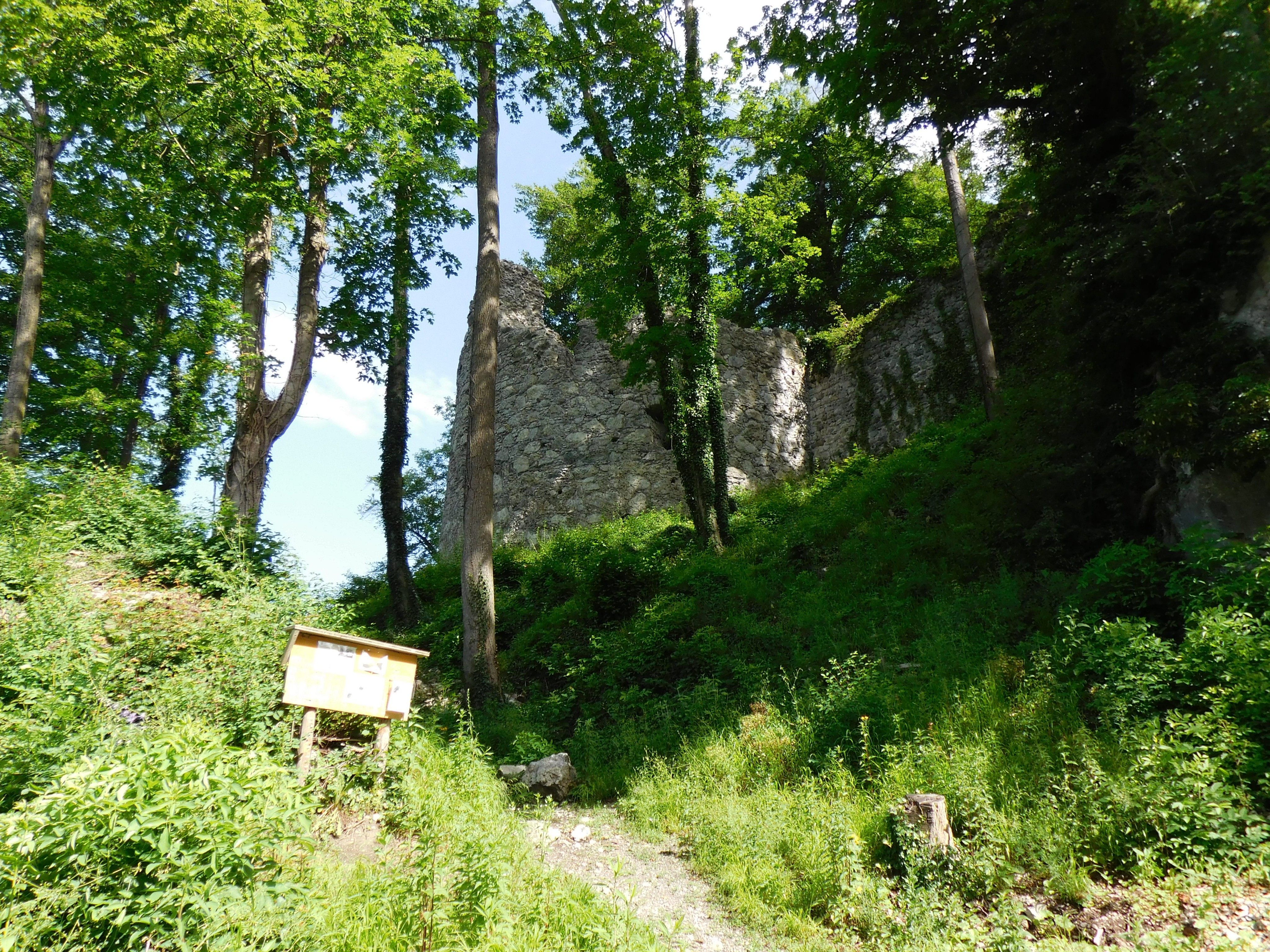 Auf der Neuburg wird auch in diesem Jahr wieder gearbeitet