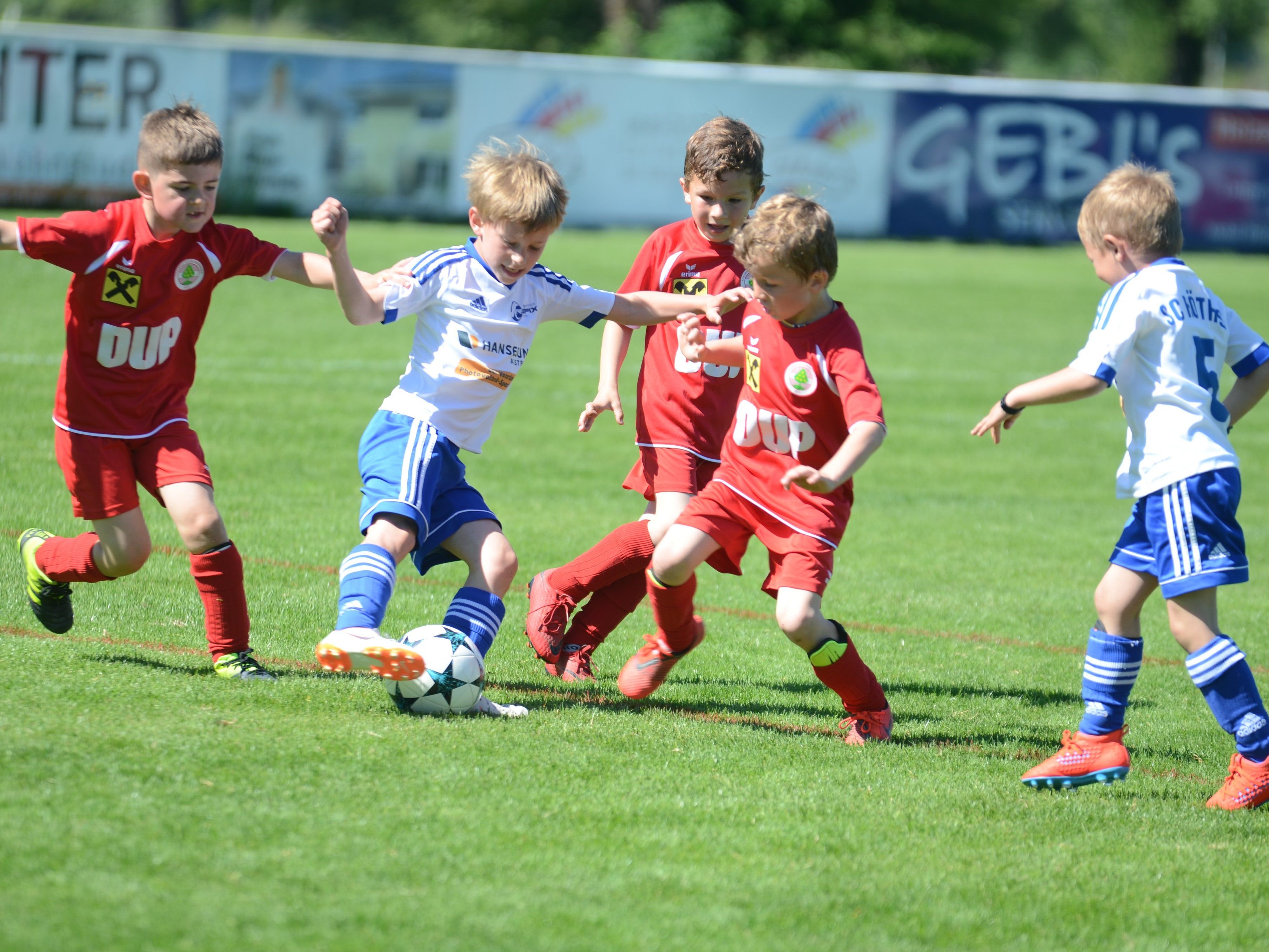 Toller Sport wurde von den Juüngsten geboten. Toller Sport wurde von den Juüngsten geboten.