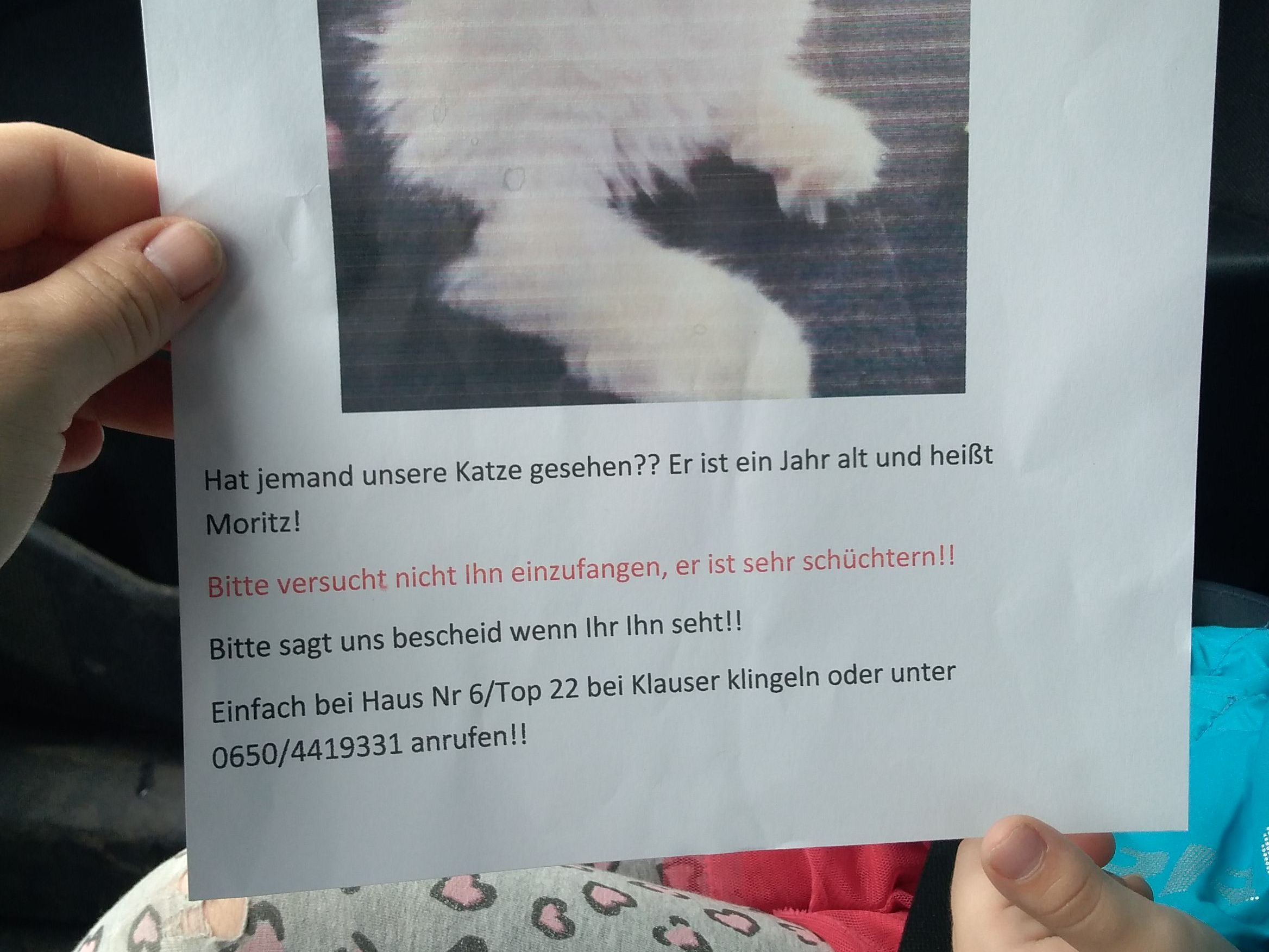 Moritz vermisst
