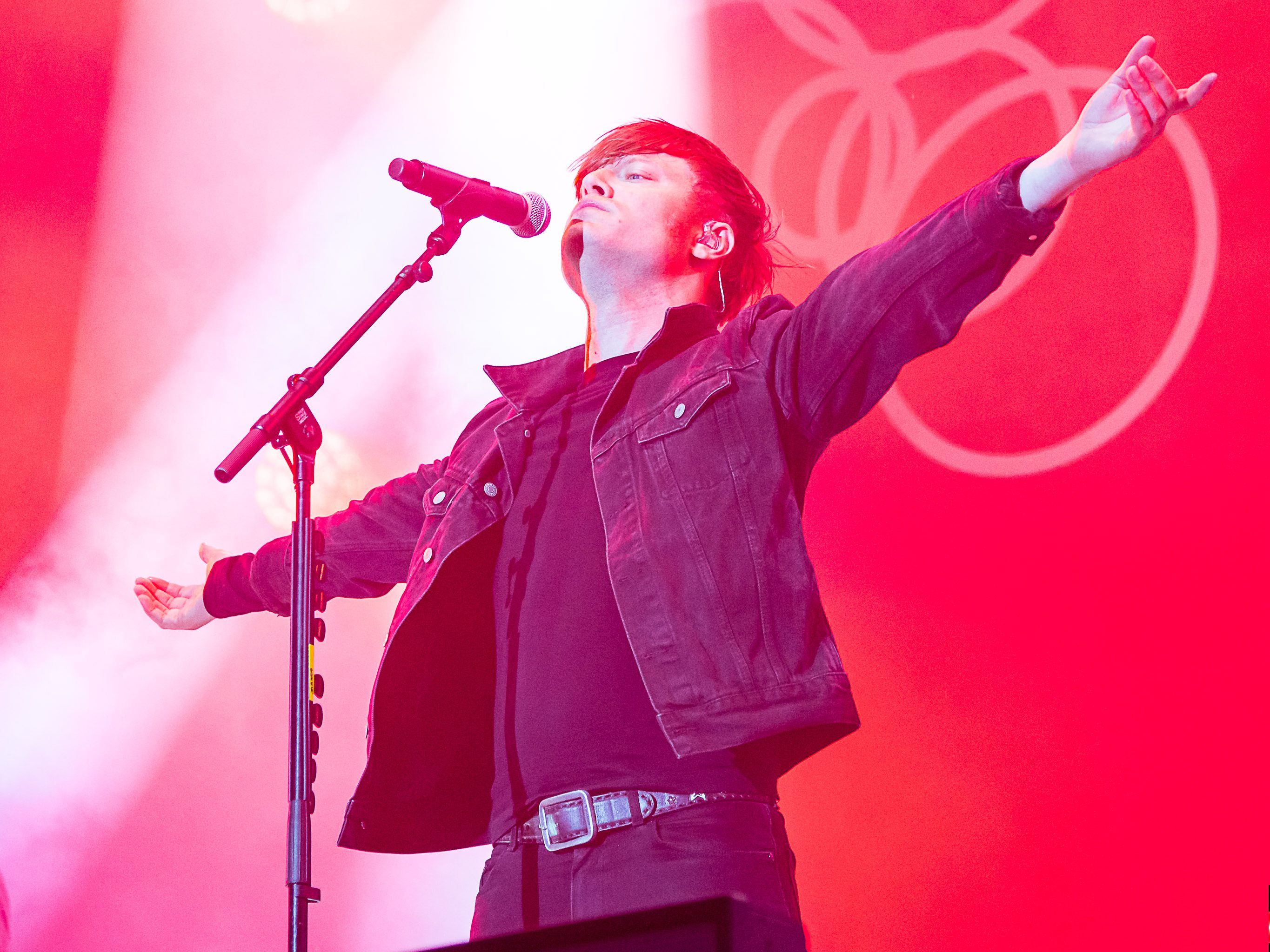 DIF 2019 - Mando Diao