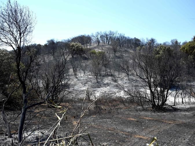 Brände in Frankreich