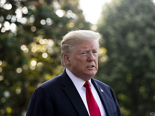 Kosten für Trump "sehr gering im Vergleich zu dem, was es wert ist" Kosten für Trump "sehr gering im Vergleich zu dem, was es wert ist"