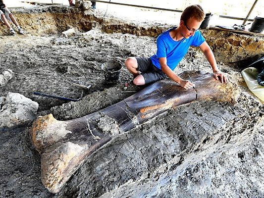 Forscher staunen über die Größe