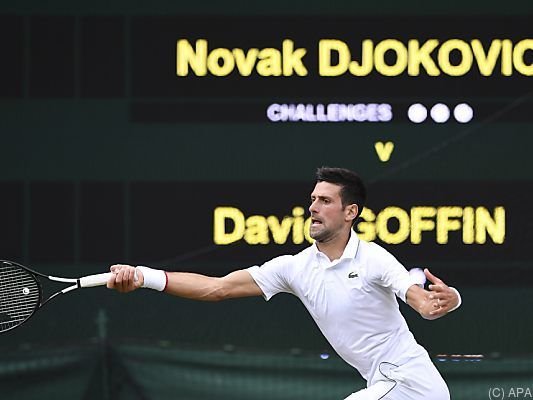 Djokovic nur mit wenigen Problemen gegen Goffin