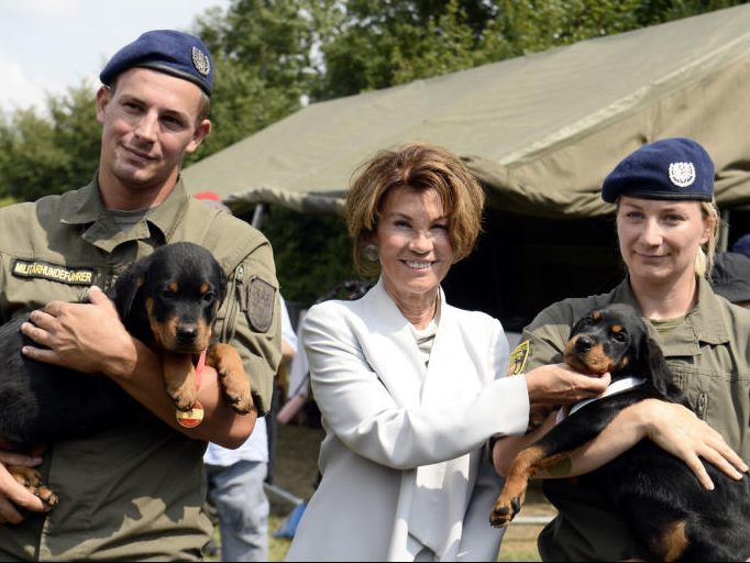 Der süße Rottweiler-Welpe des Bundesheeres hat eine sehr prominente Patin bekommen