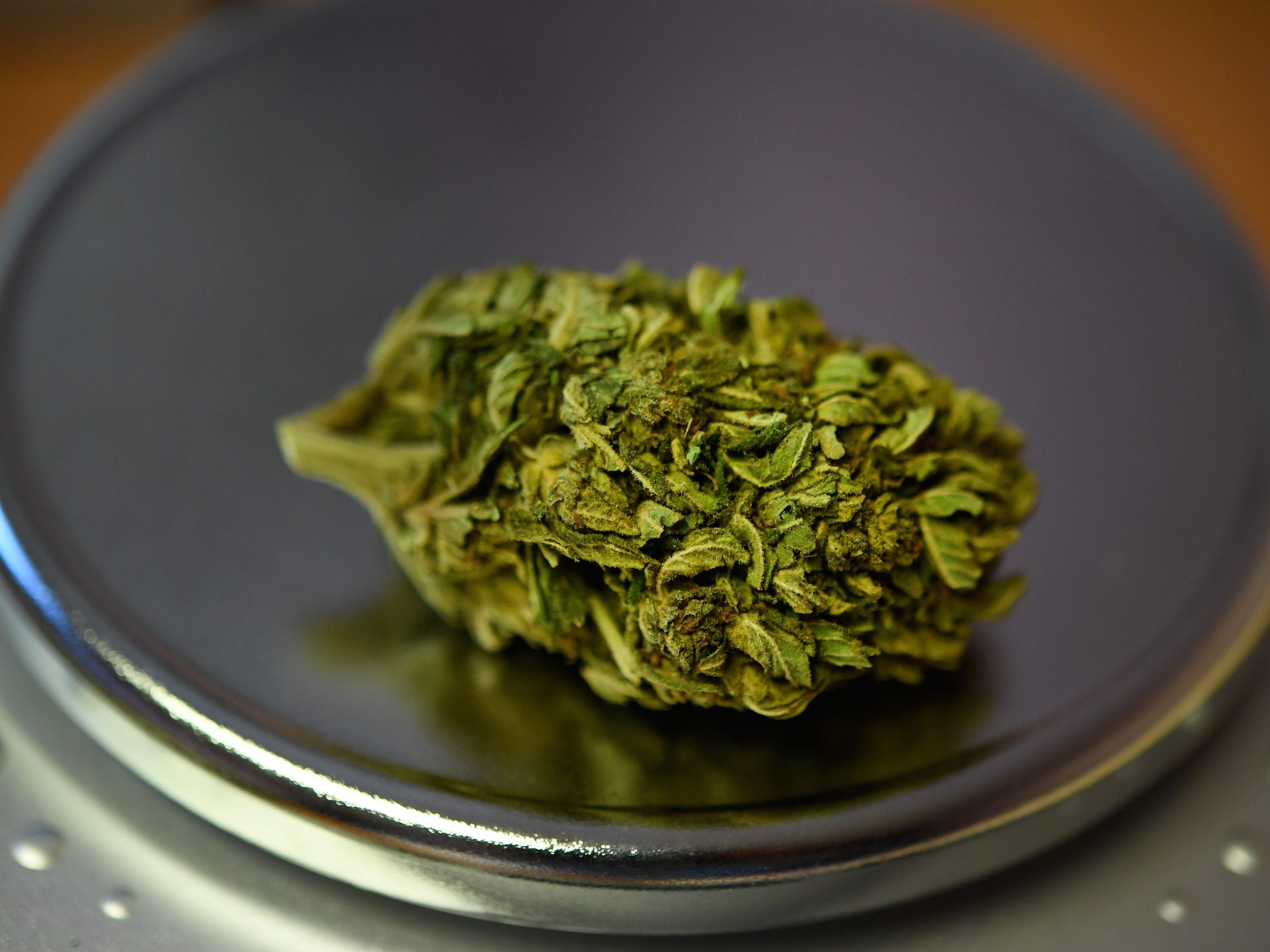 Nach einem unvergleichbaren Hoch könnten die Cannabis-Aktien schnell wieder fallen. Nach einem unvergleichbaren Hoch könnten die Cannabis-Aktien schnell wieder fallen.