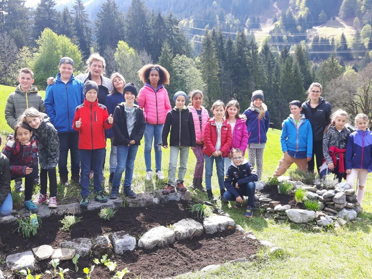 Volksschule Wald Gartenprojekt
