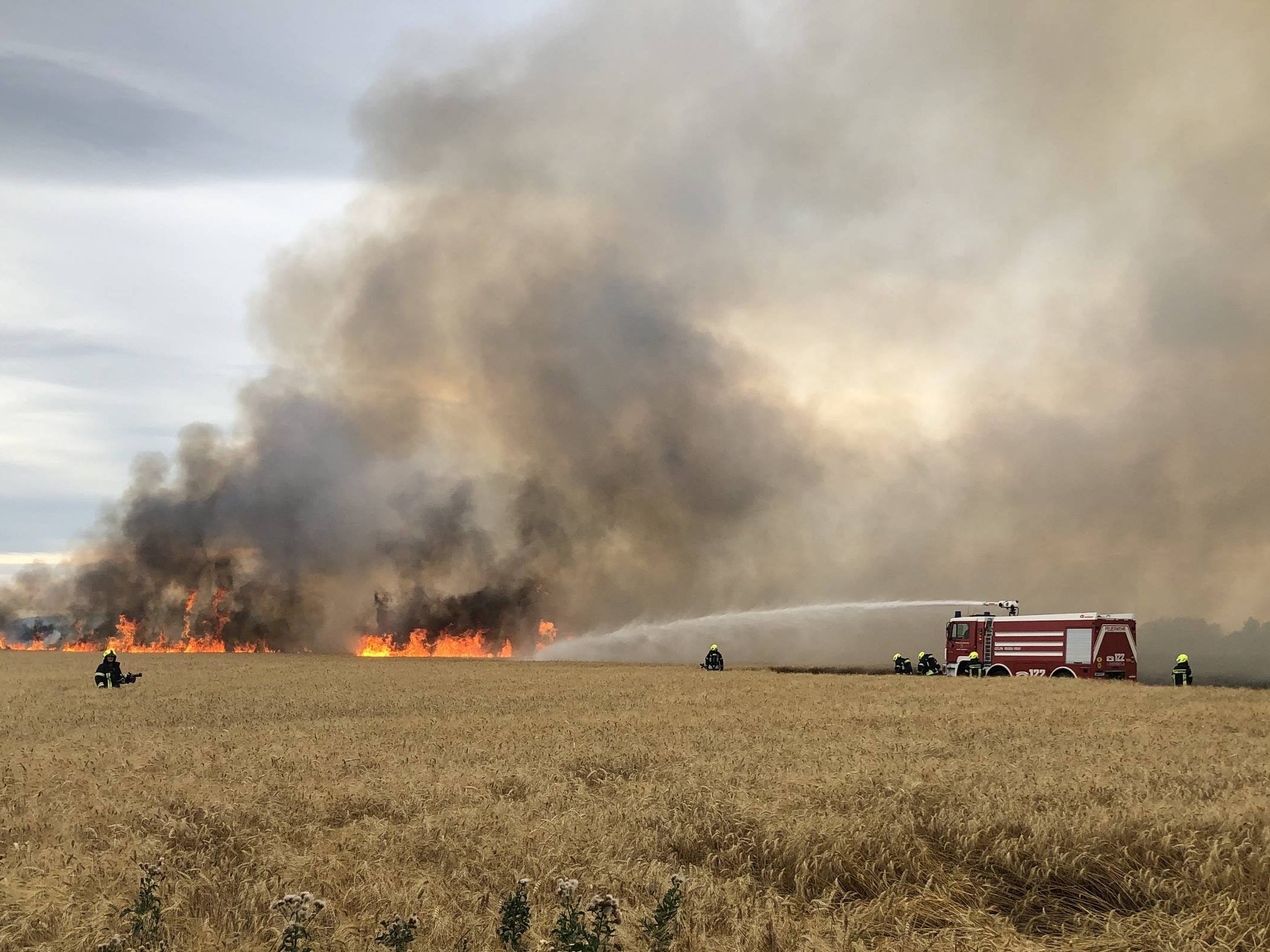 Der Wind trieb die Flammen über die Pottendorfer Linie.
