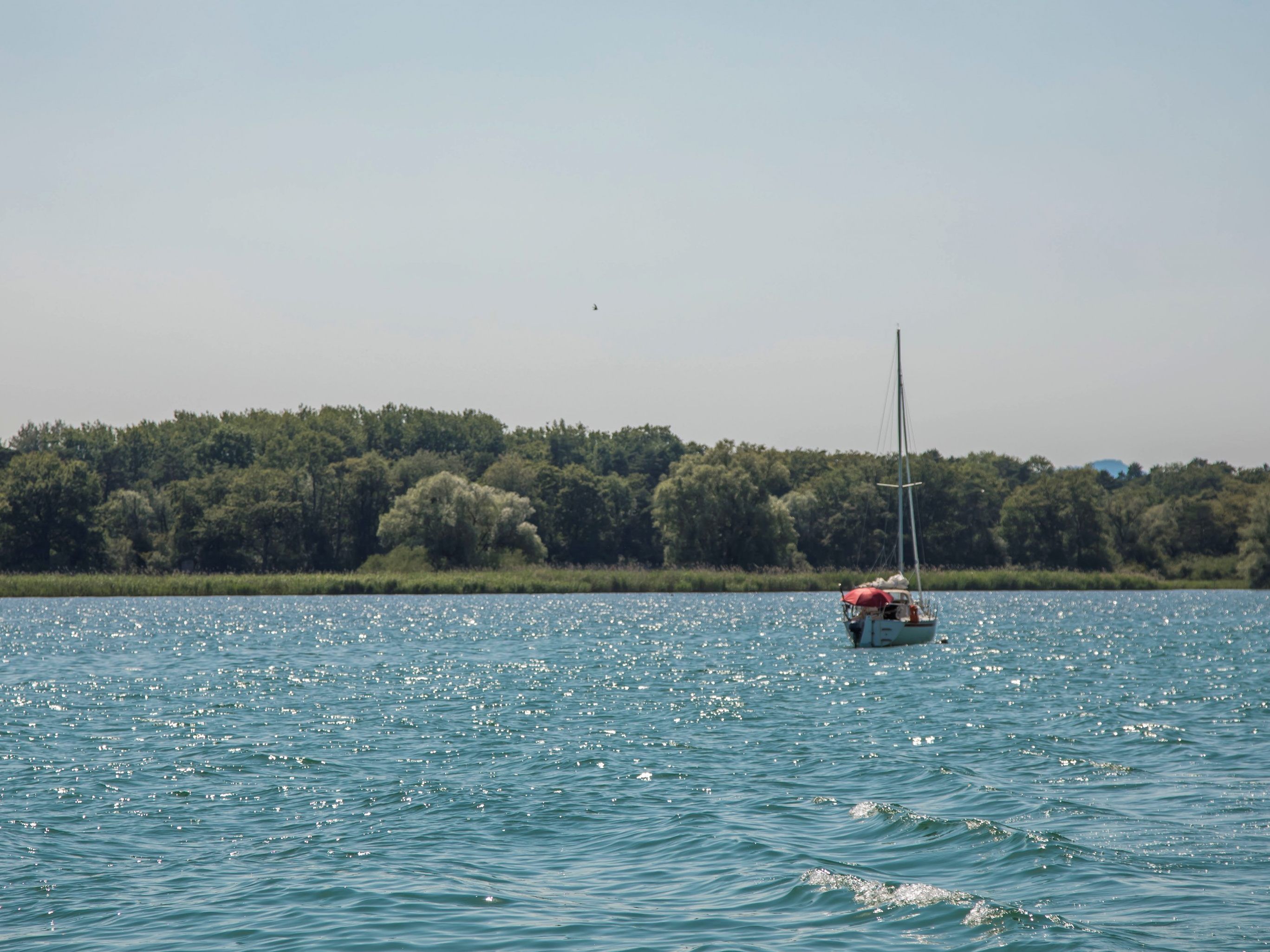 Feuerwehr, Waserrettung und Polizei kümmerten sich um die beiden Boote in Seenot. (Symbolbild) Feuerwehr, Waserrettung und Polizei kümmerten sich um die beiden Boote in Seenot. (Symbolbild)