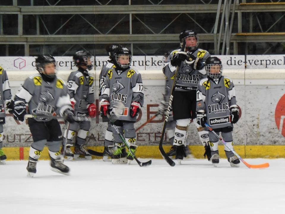 Bulldogs Youngsters starten in die neue Eiszeit