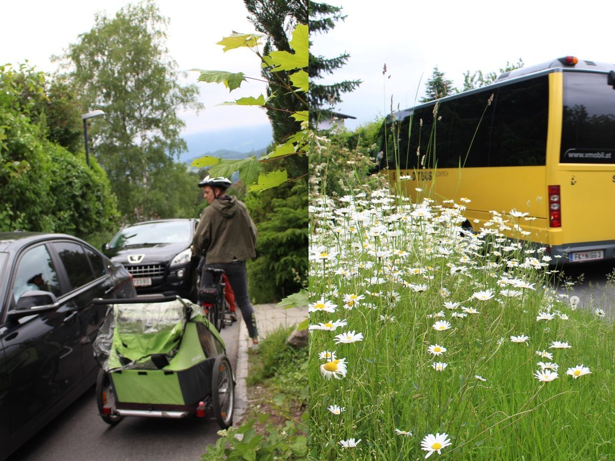 Der Stadtbus soll wieder nach Fahrplan über die Letze rollen.