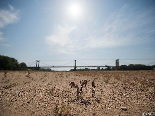 17 Länder sind schwer von Trockenheit betroffen 17 Länder sind schwer von Trockenheit betroffen