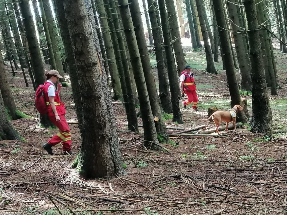 Zahlreiche Einsatzkräfte suchen nach dem Mann.